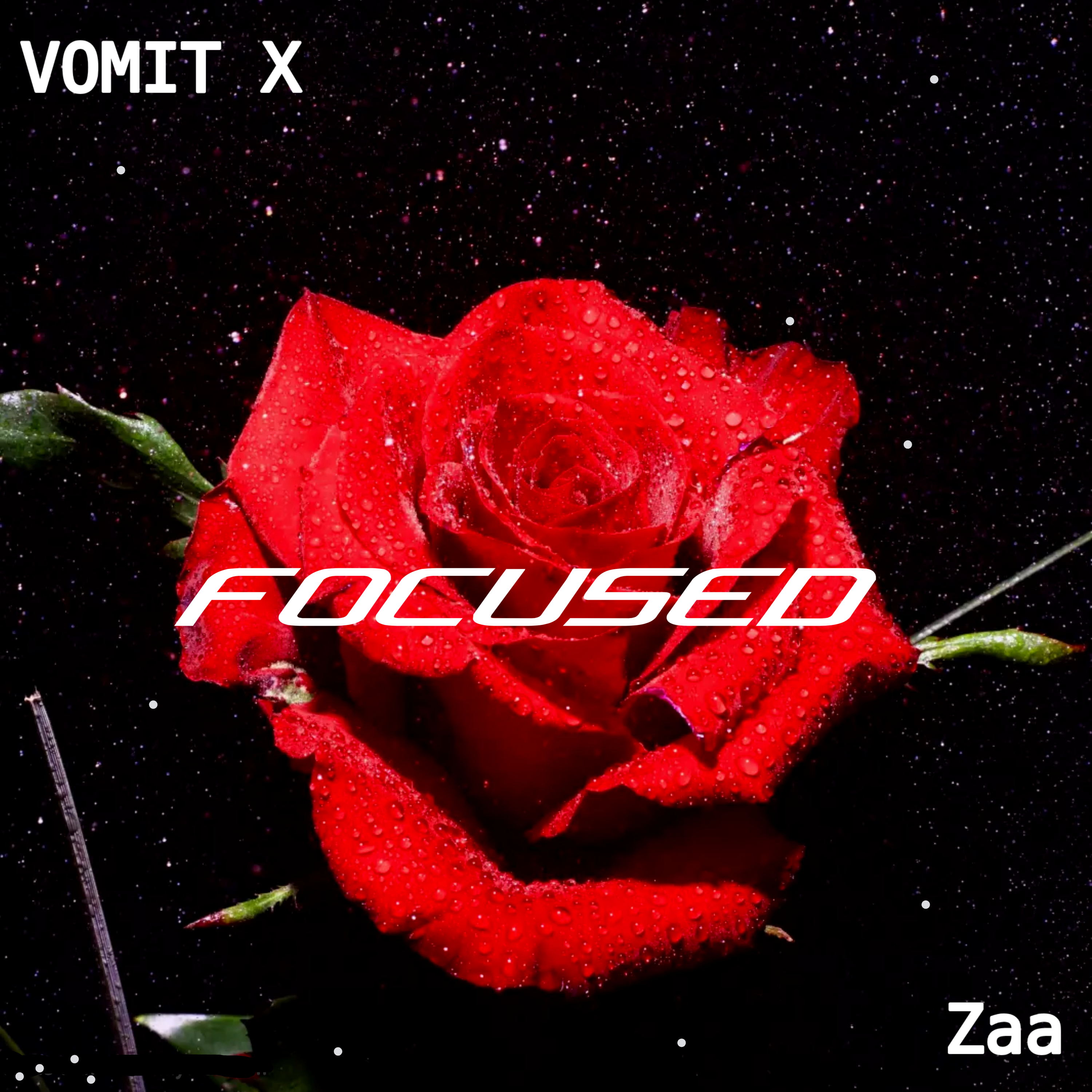 FOCUSED artwork