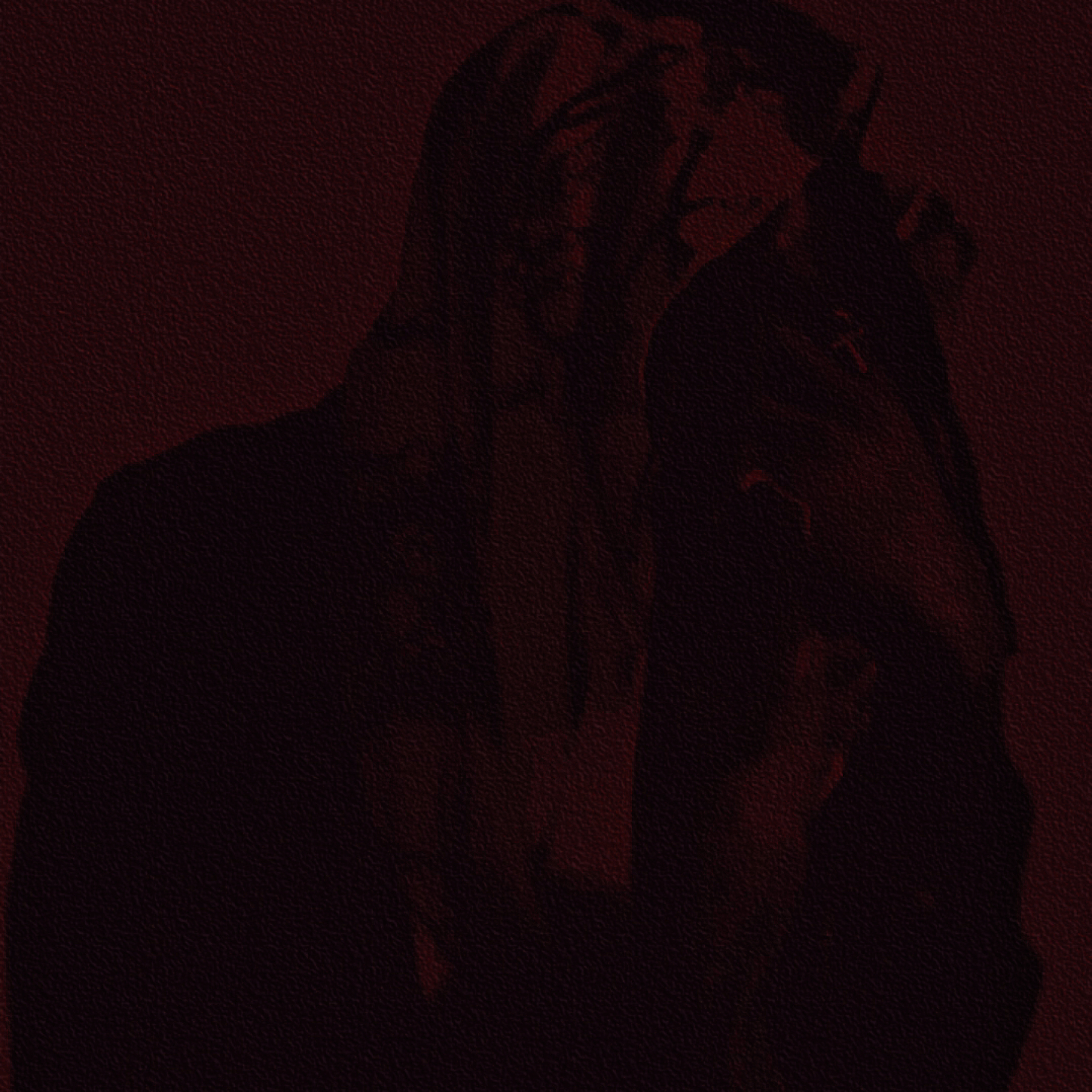 FLUKE artwork