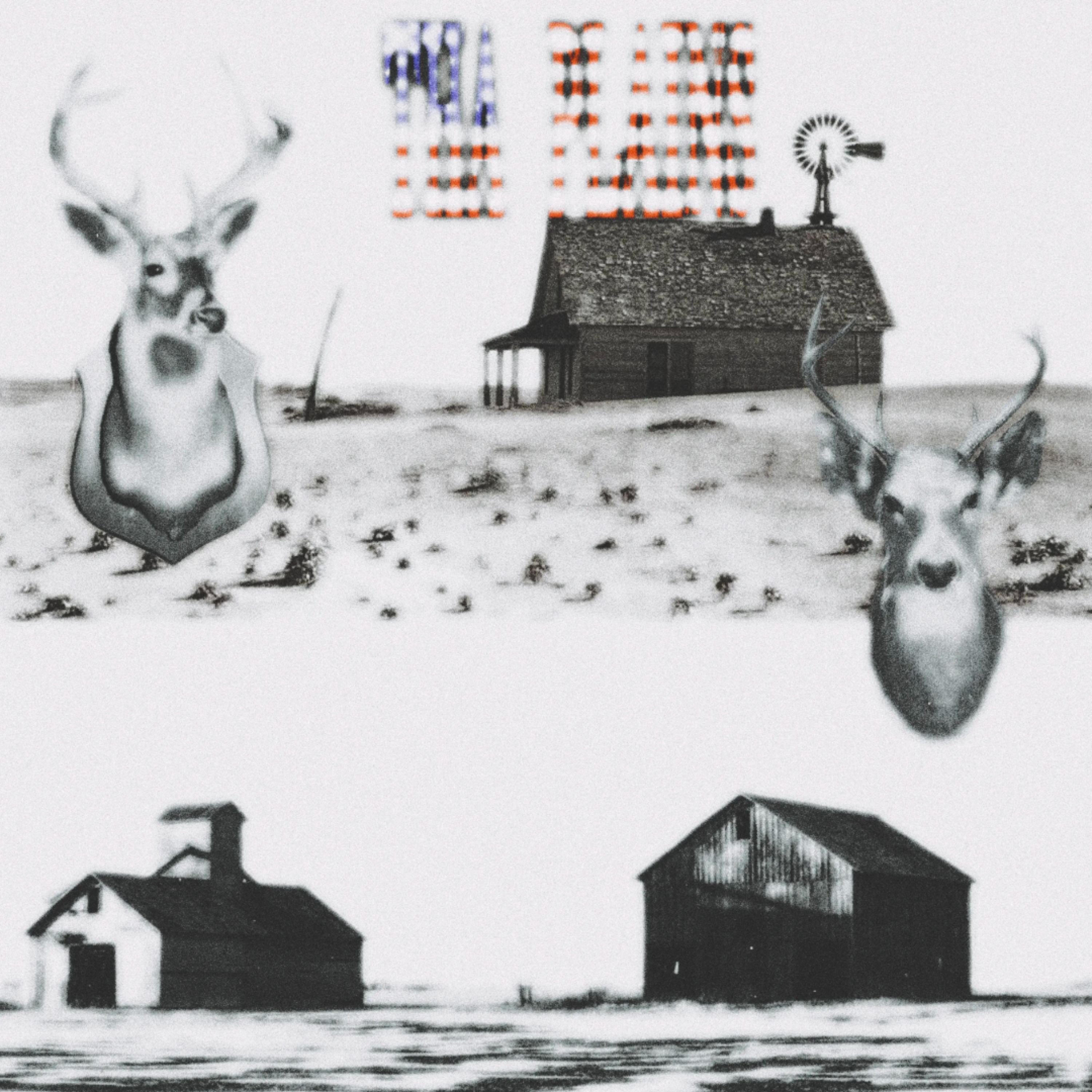 THA PLAINS artwork