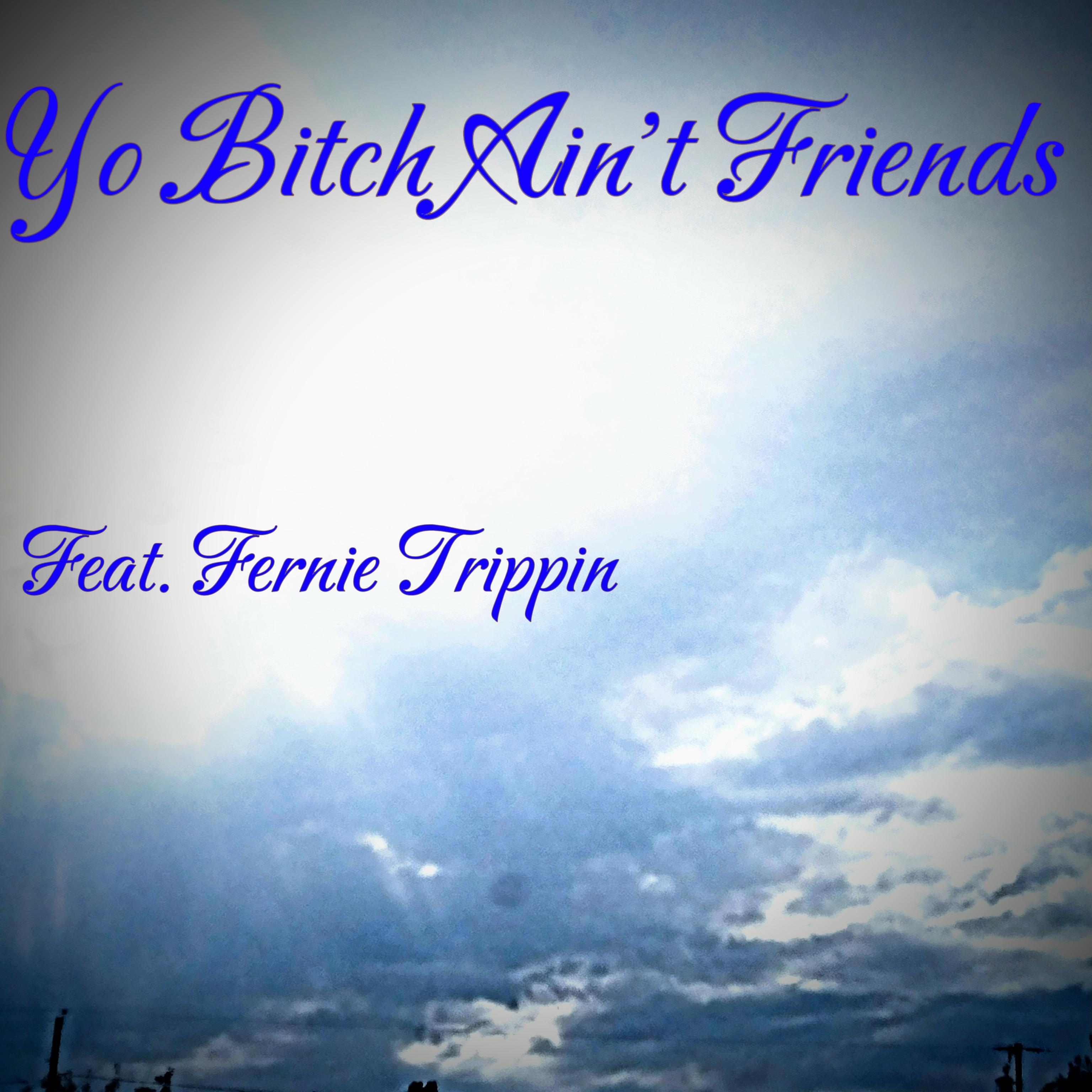 Yo Bitch Ain't Friends artwork