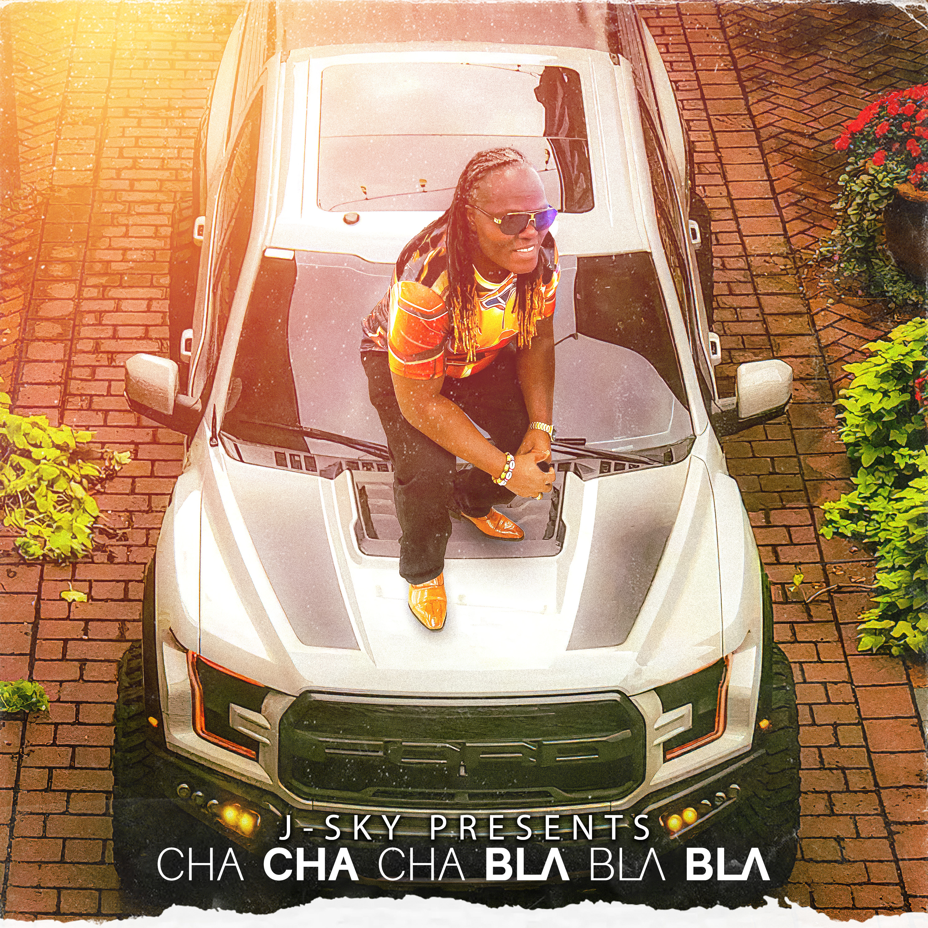 CHA CHA CHA BLA BL A BLA artwork