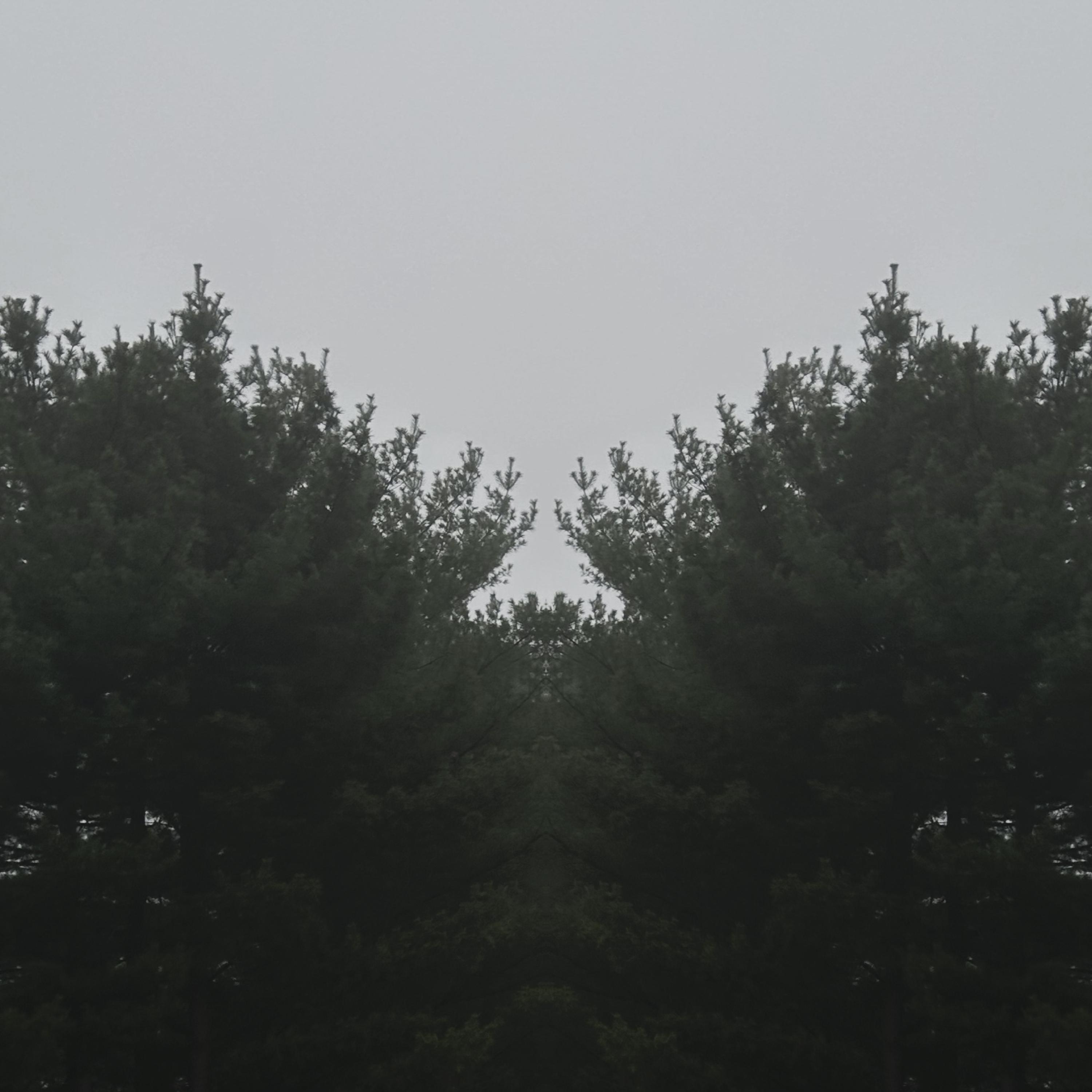 Conceptual artwork