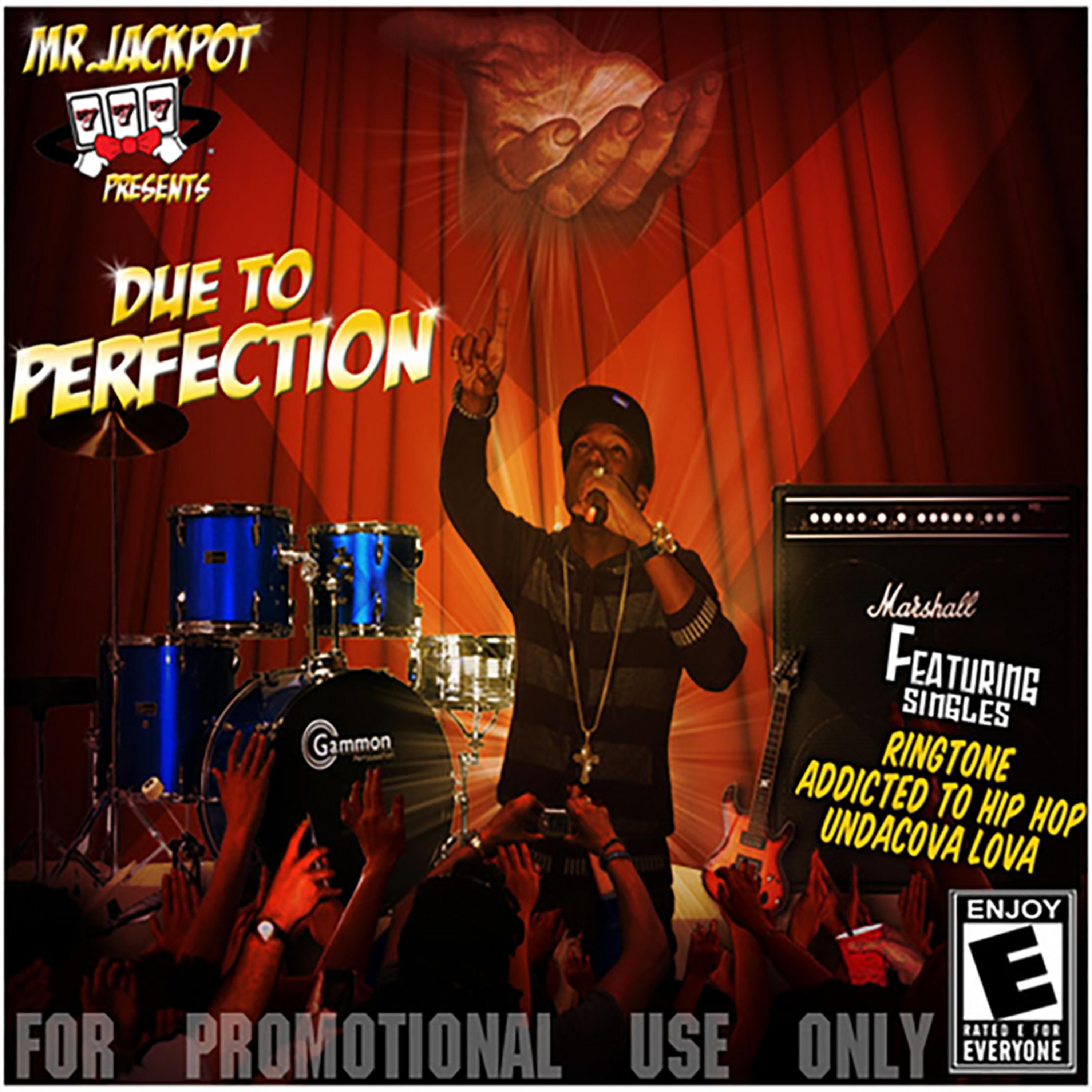 Due To Perfection artwork