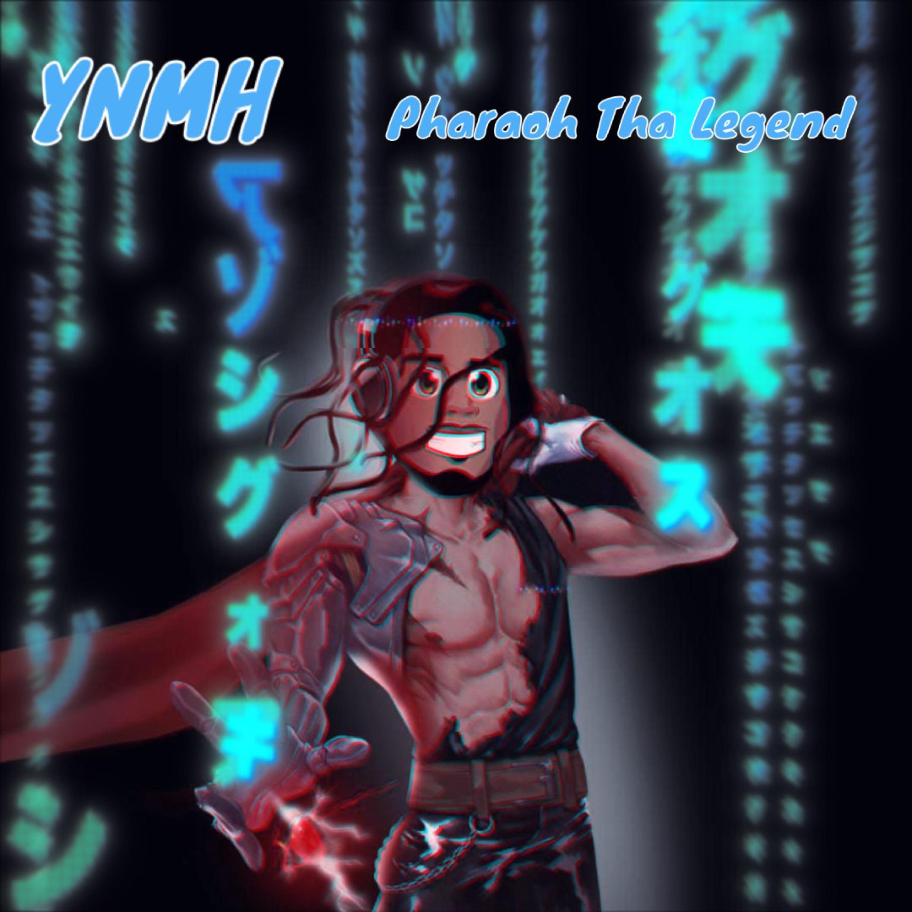 YNMH artwork