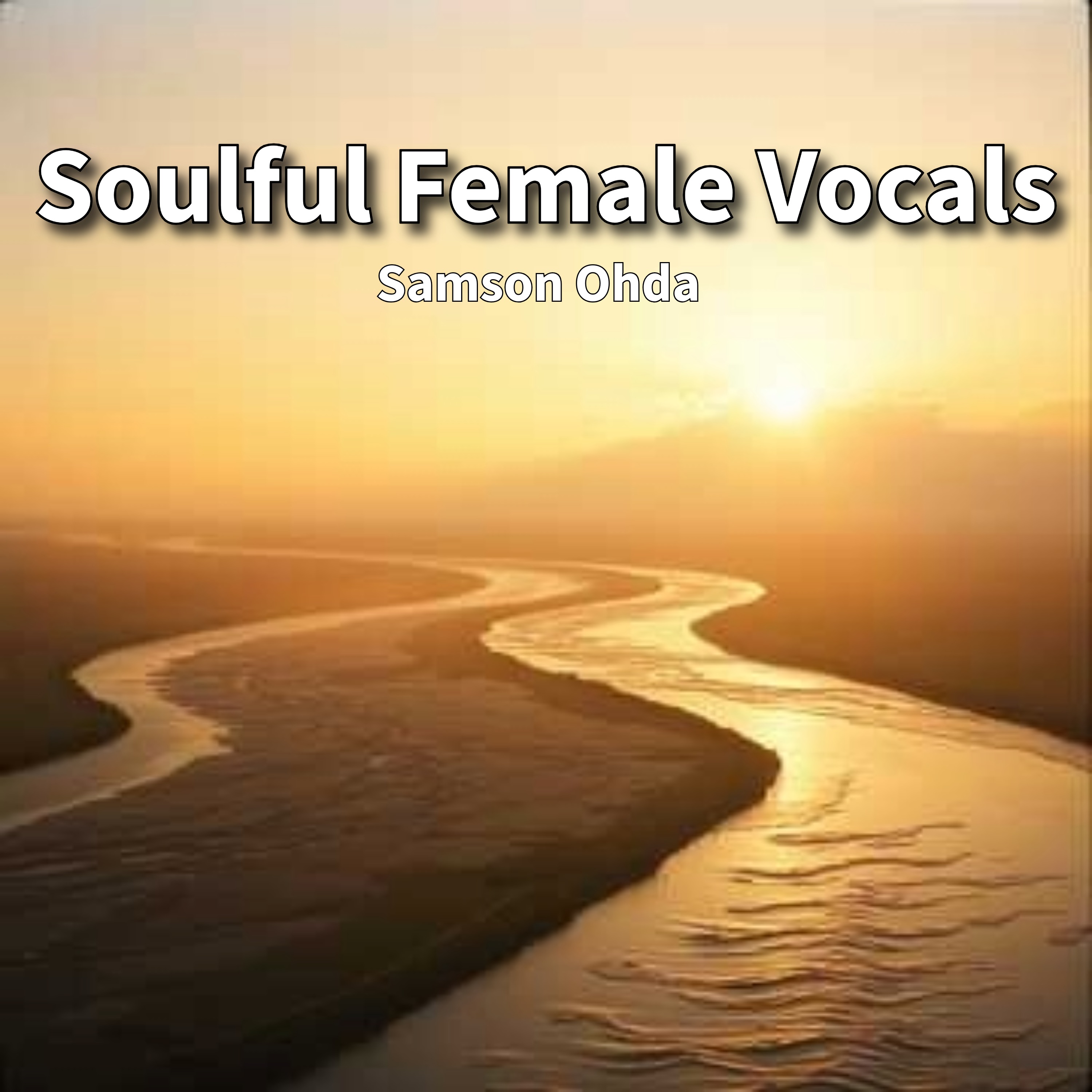Soulful Female Vocals Vol 1 Album artwork