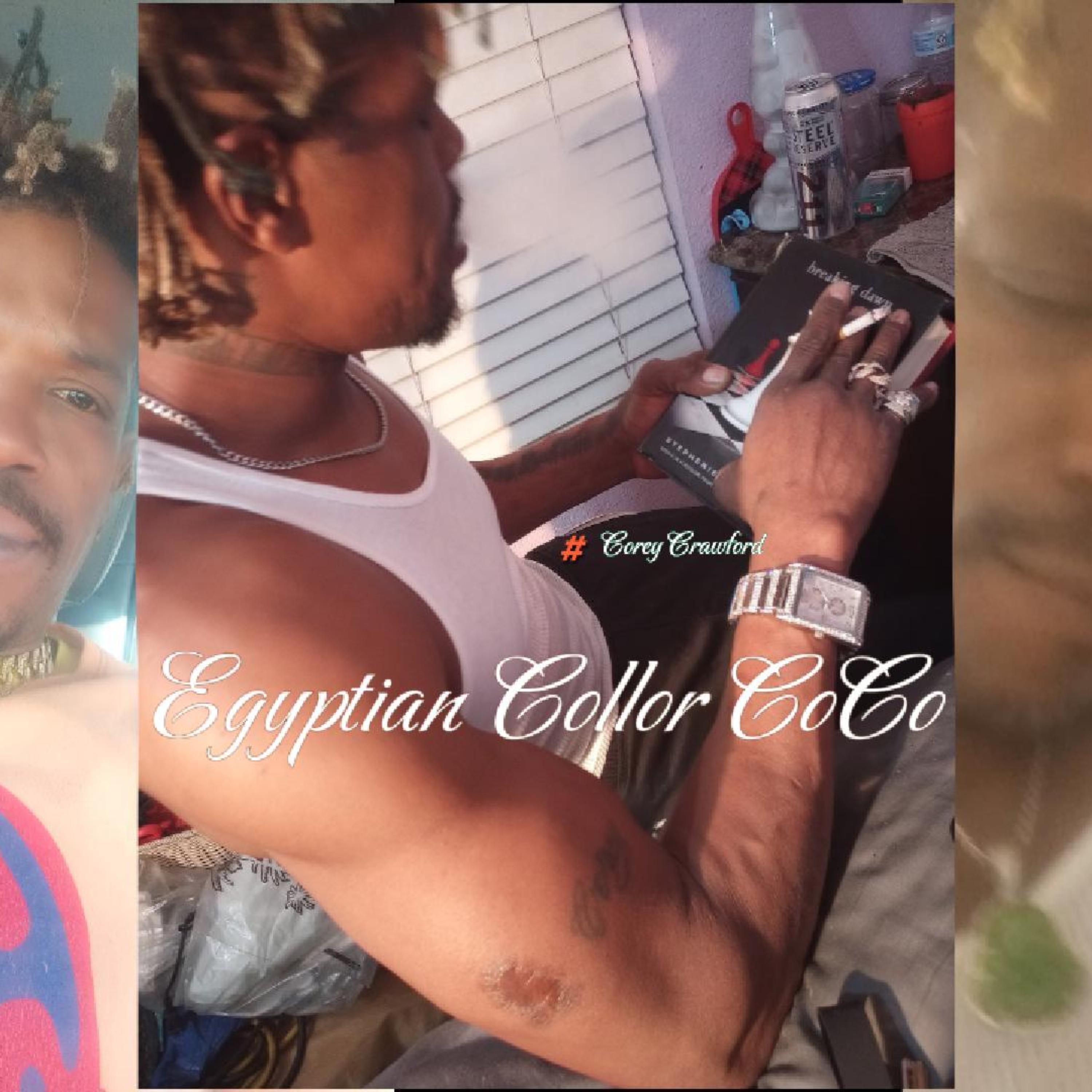 Egyptian Collor CoCo artwork