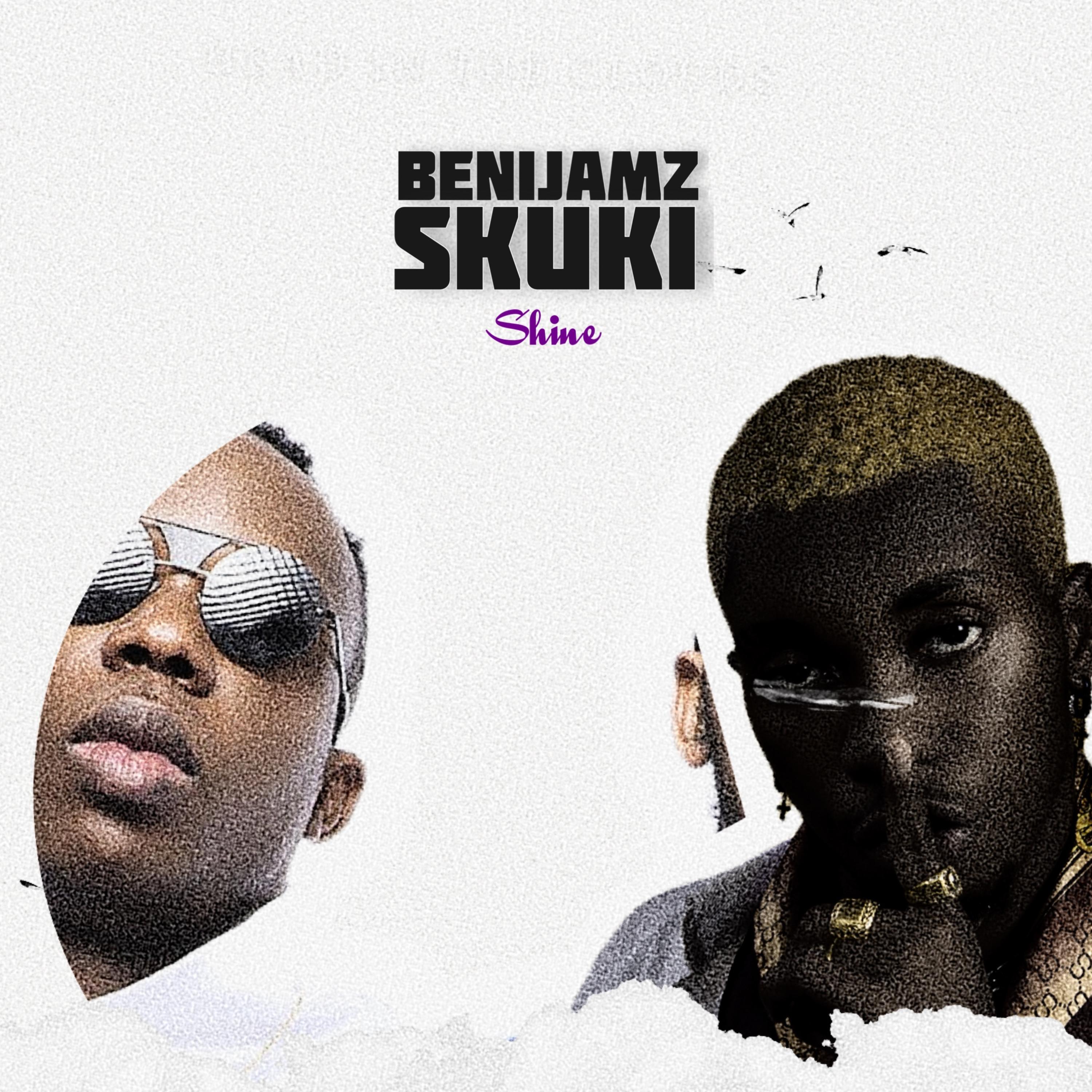 SHINE by Benijamz cover art