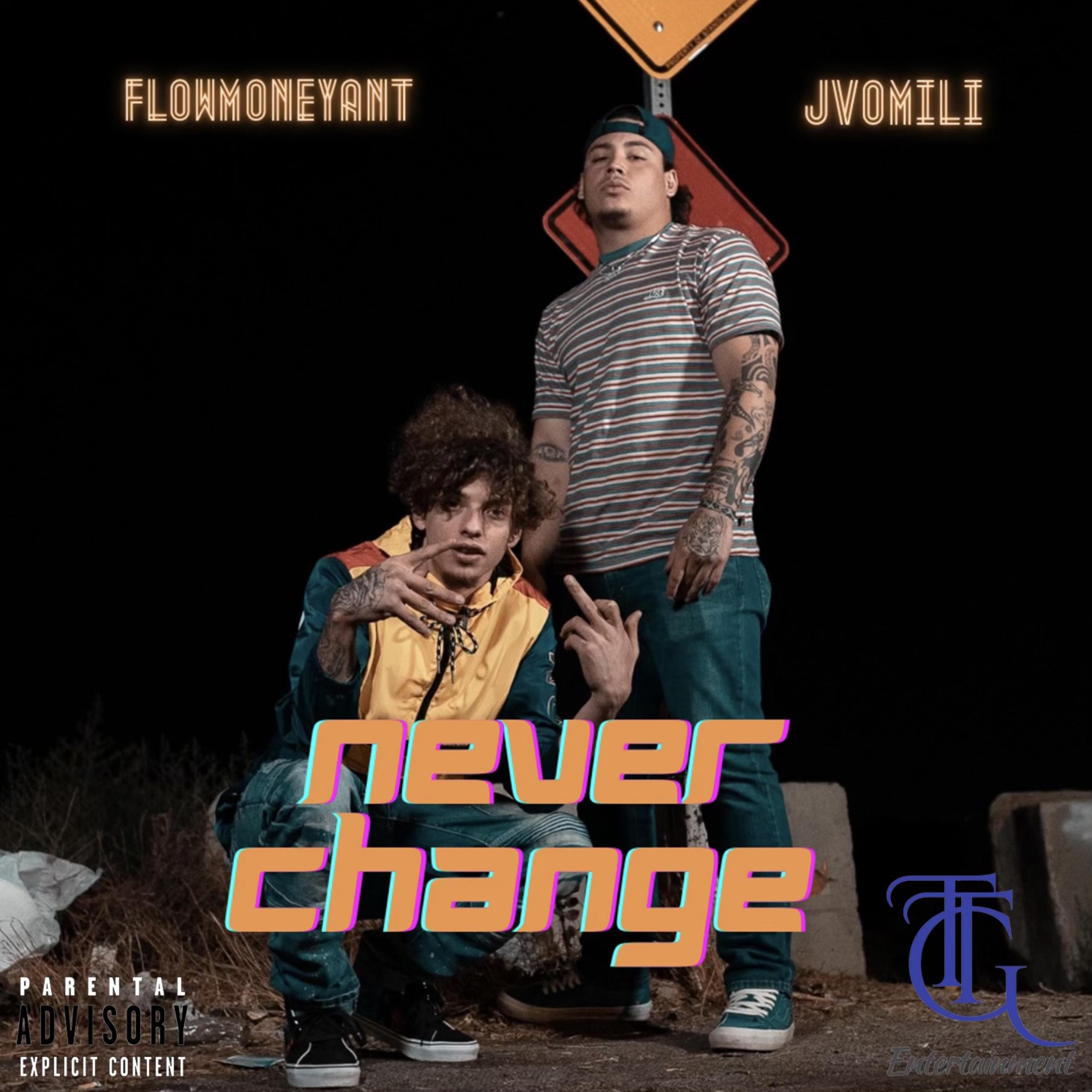Never Change artwork