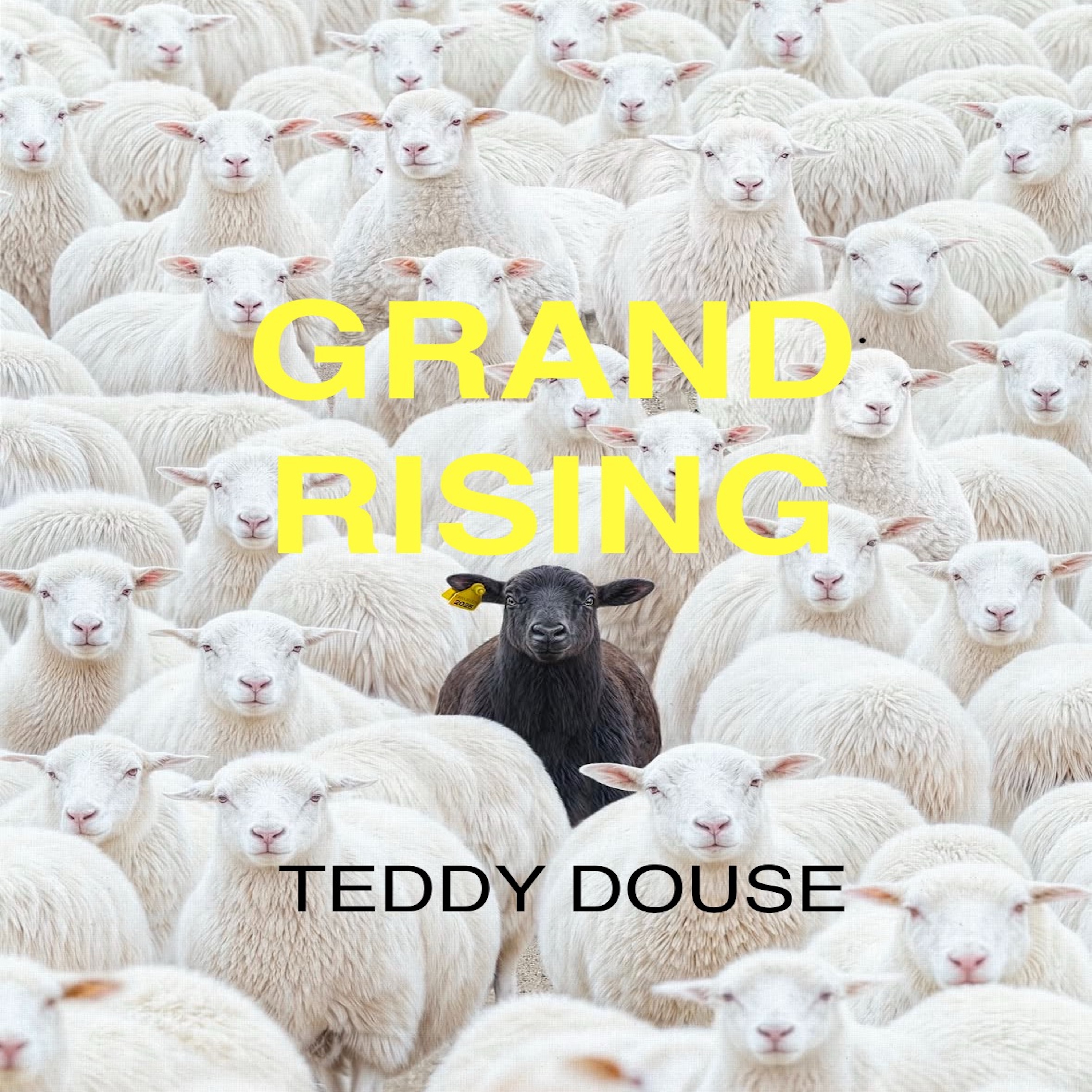 GRAND RISING artwork