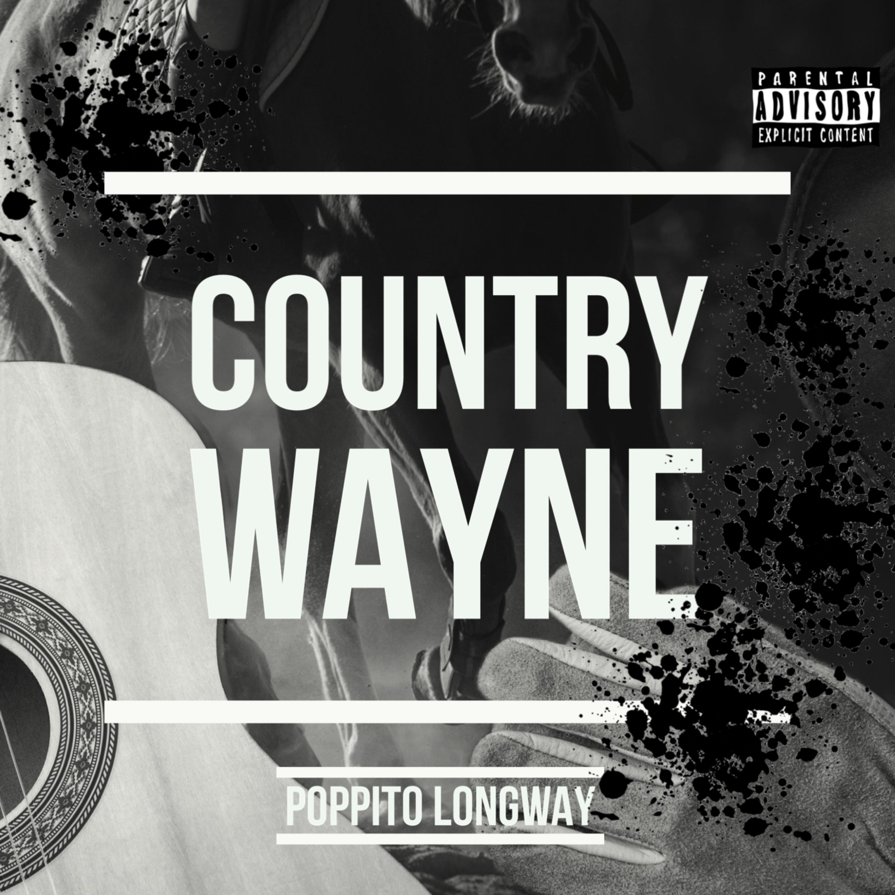 Country Wayne artwork