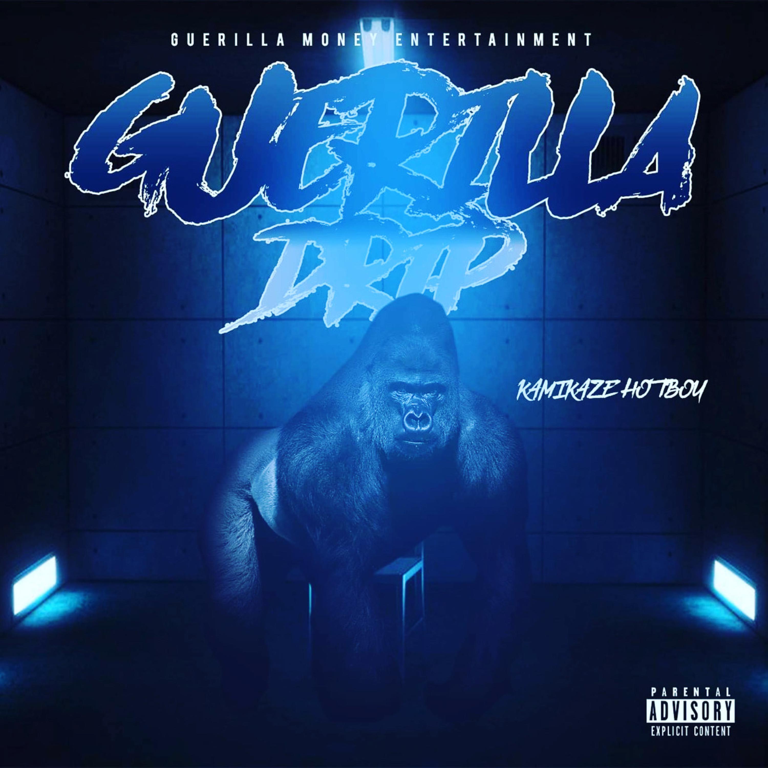 Guerilla Drip artwork