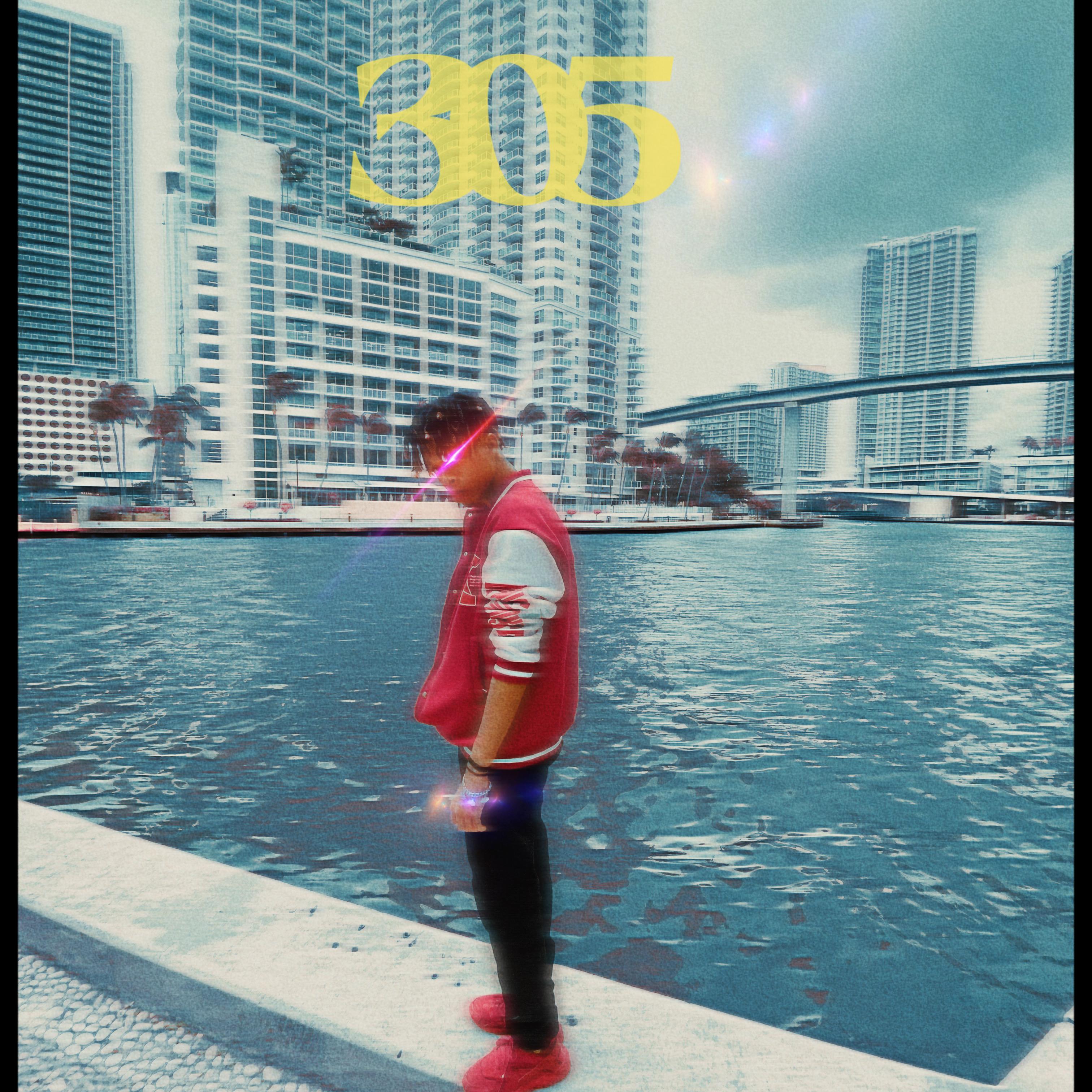 305 artwork