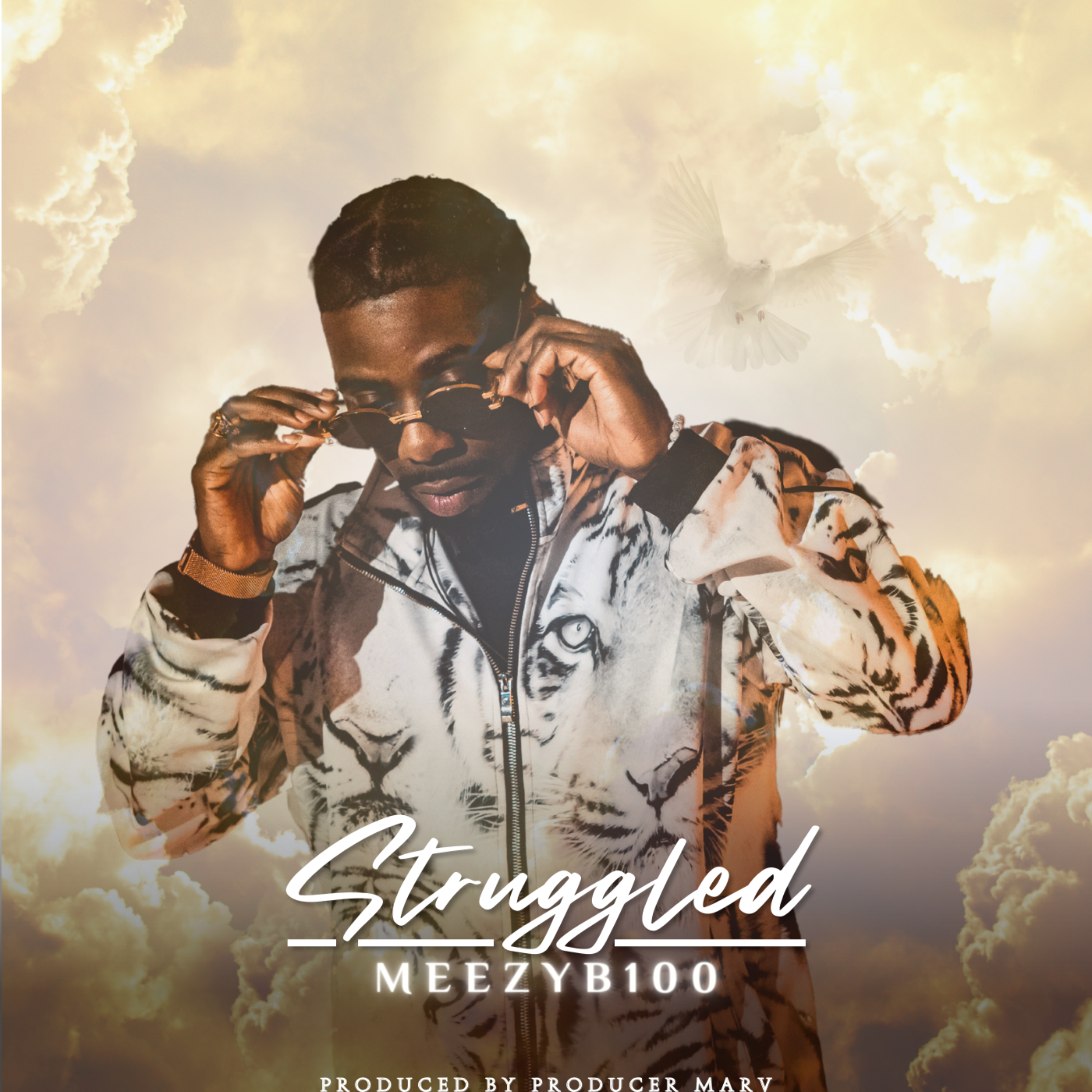 Struggled artwork