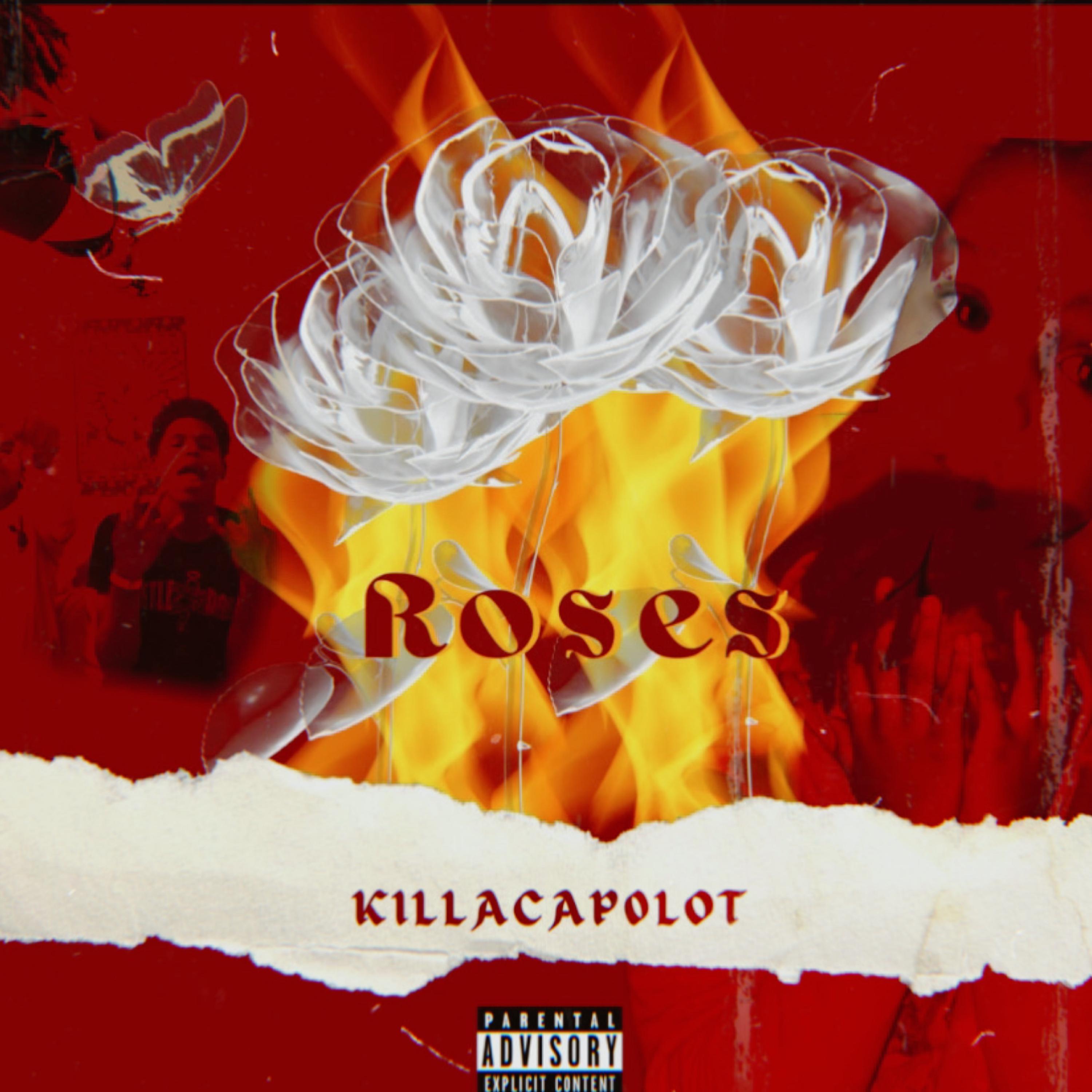 Roses by Onekaykap cover art