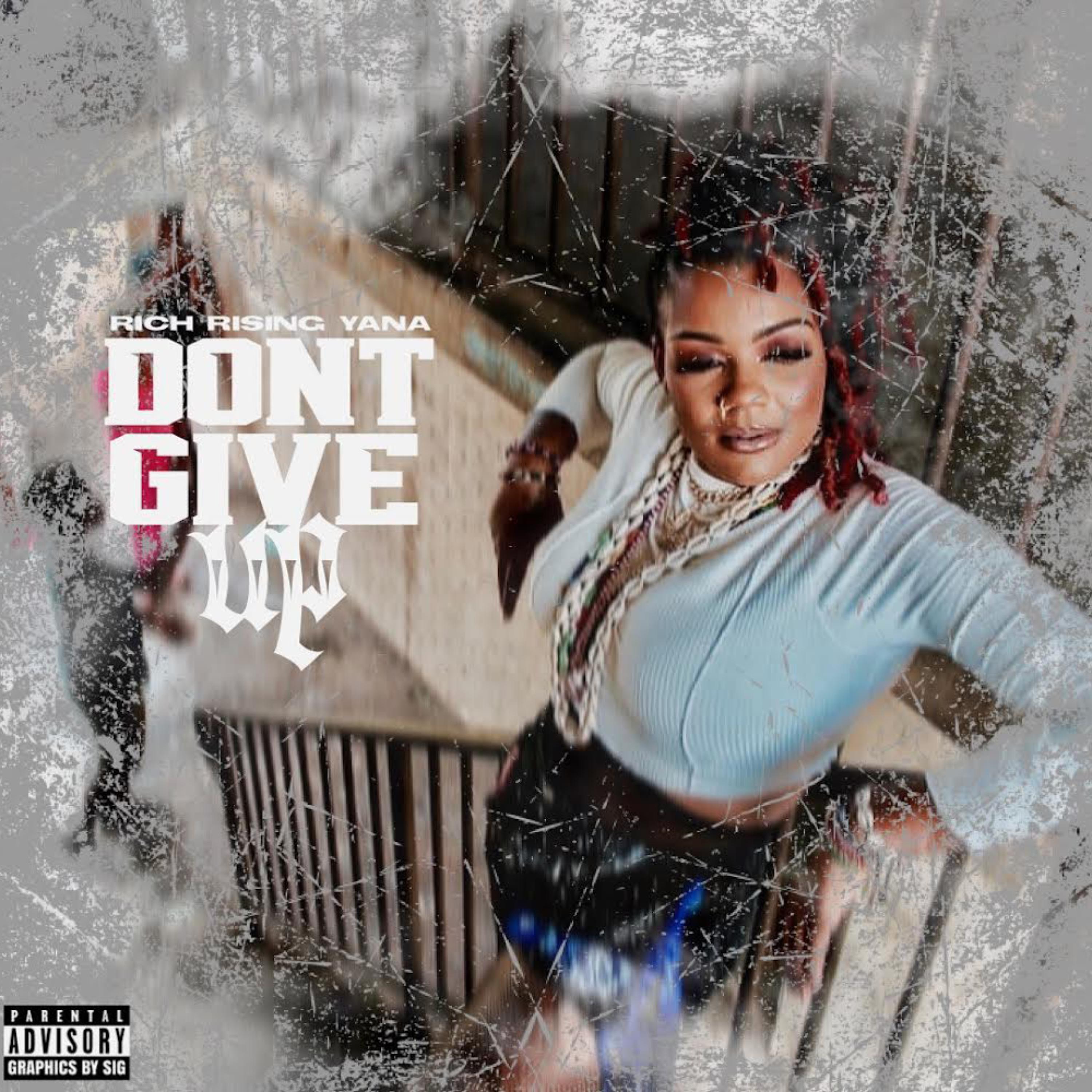 Dnt Giv Up artwork