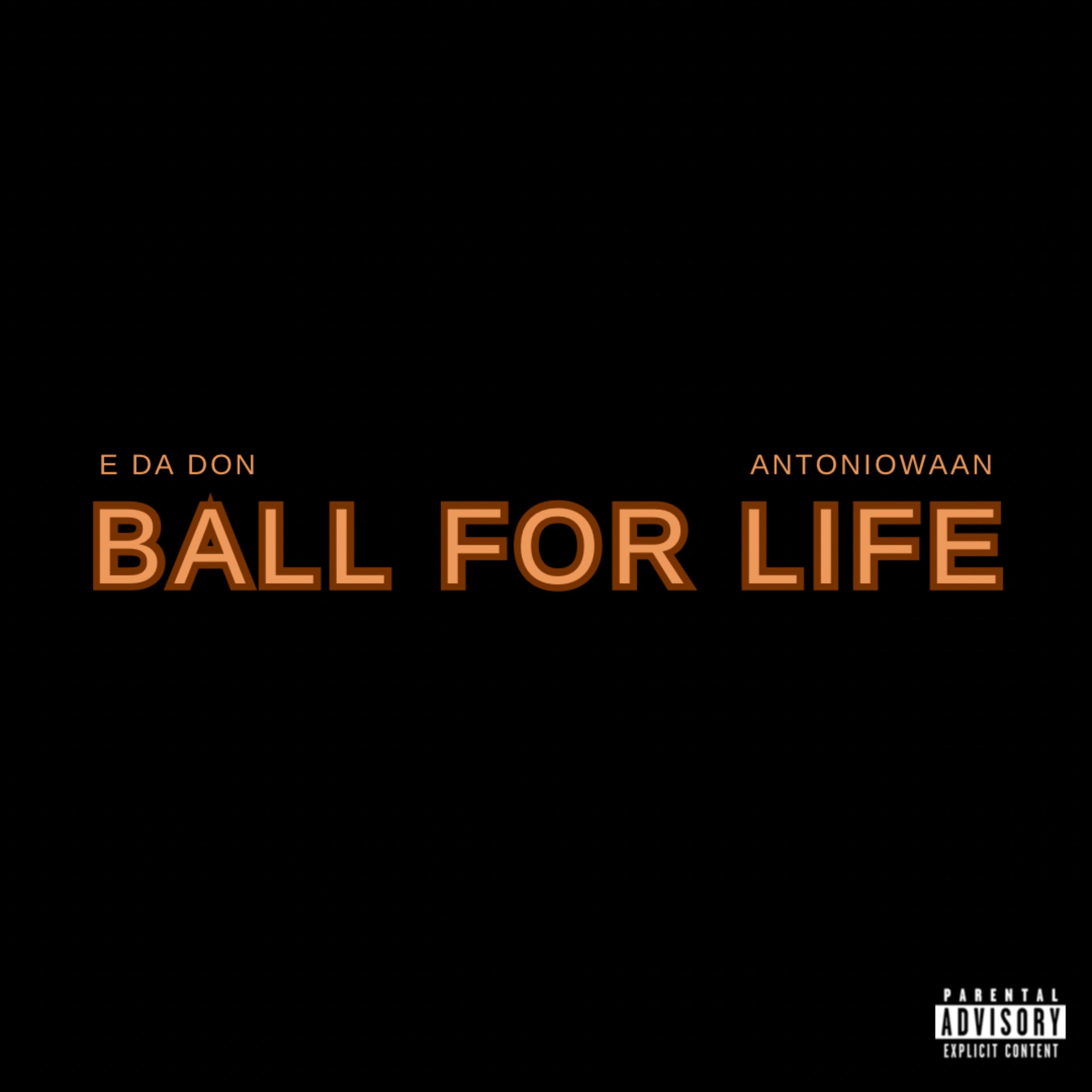 Ball For Life by Wordplay Waan cover art