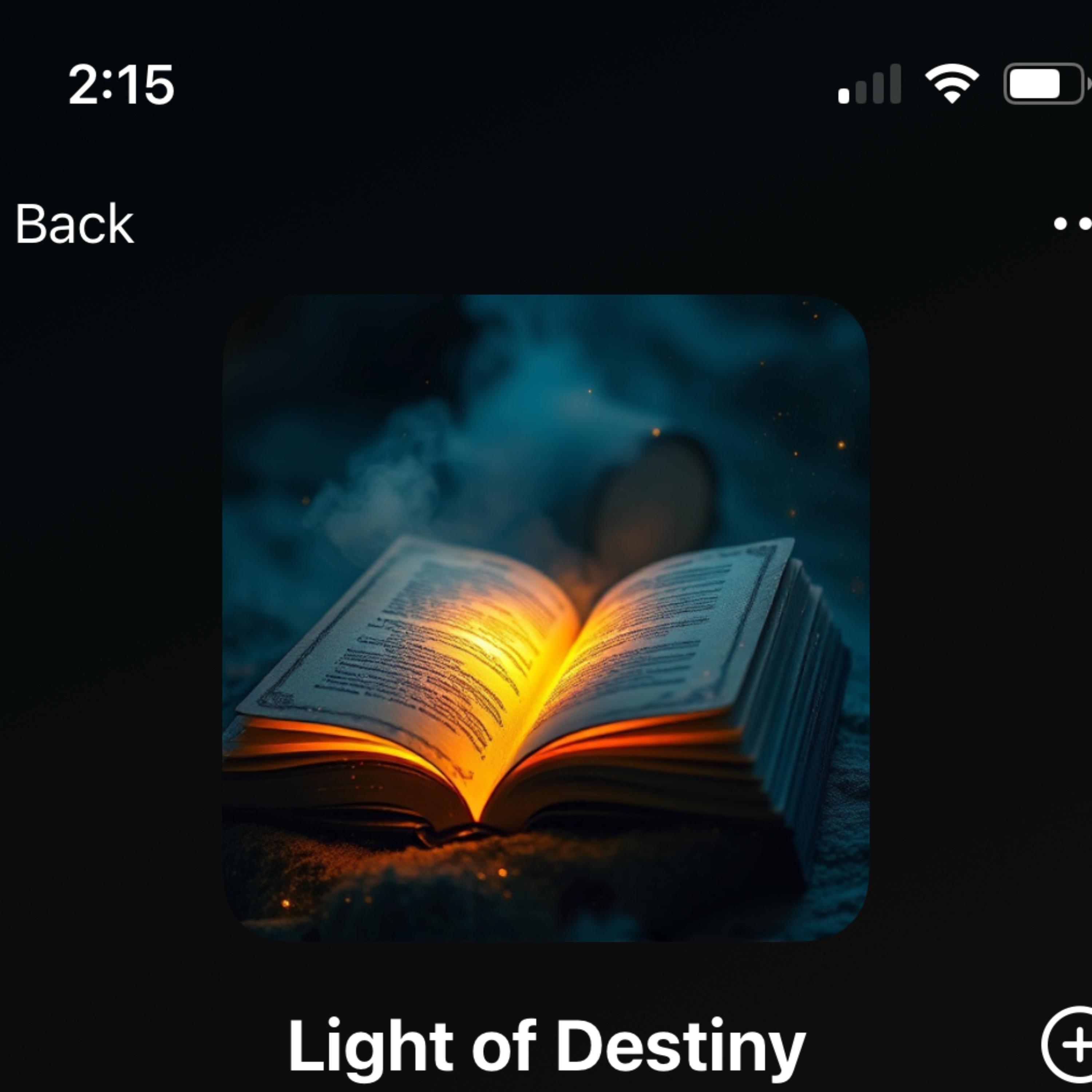 Light Of Destiny artwork