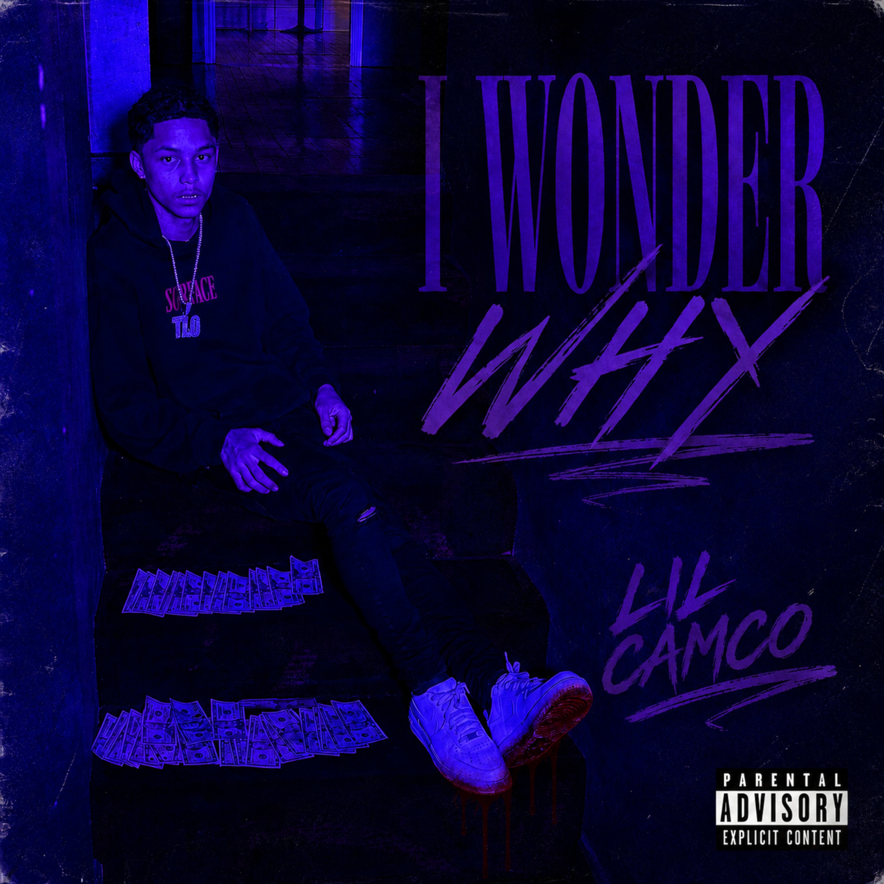 I Wonder Why by Lil Camco cover art