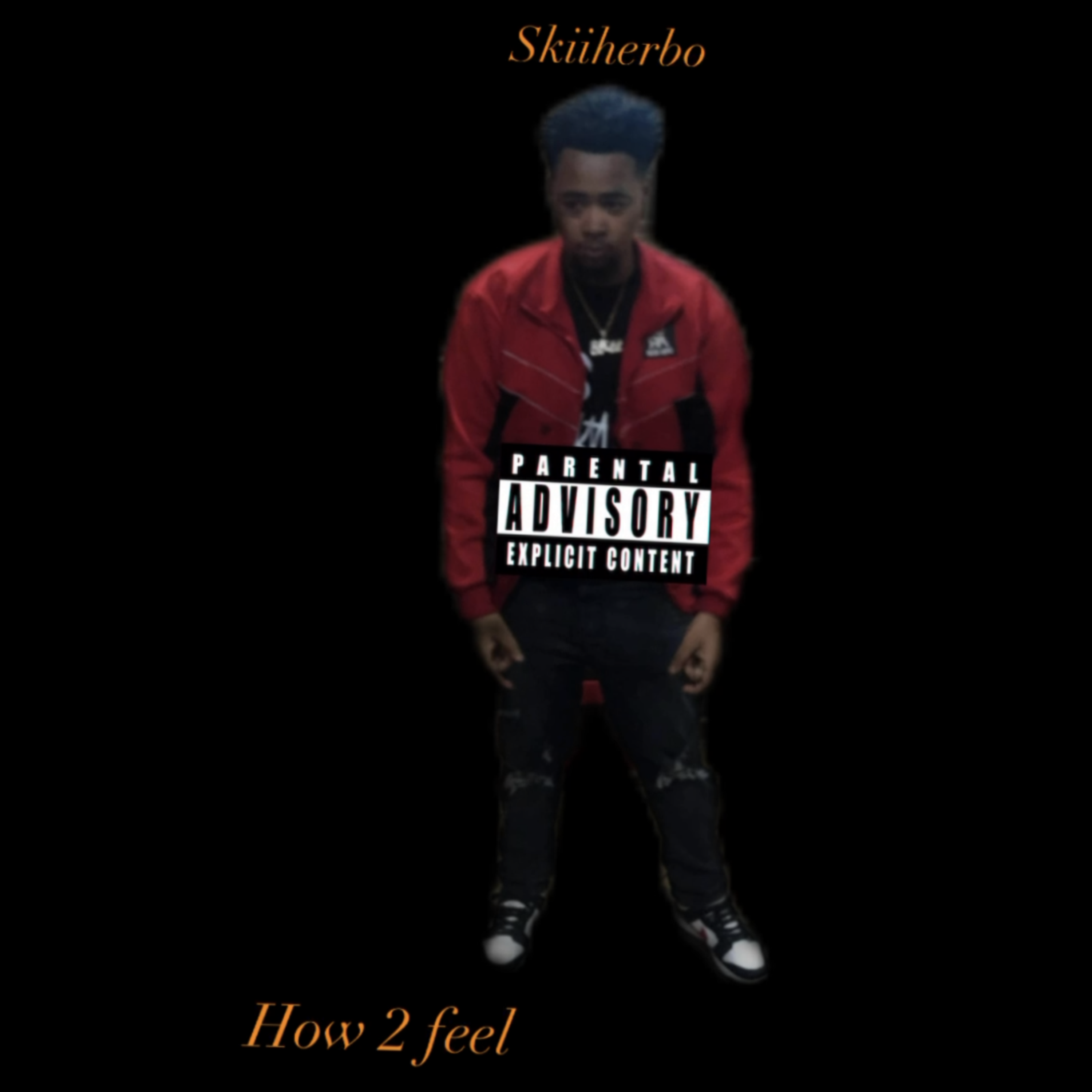 How 2 Feel artwork