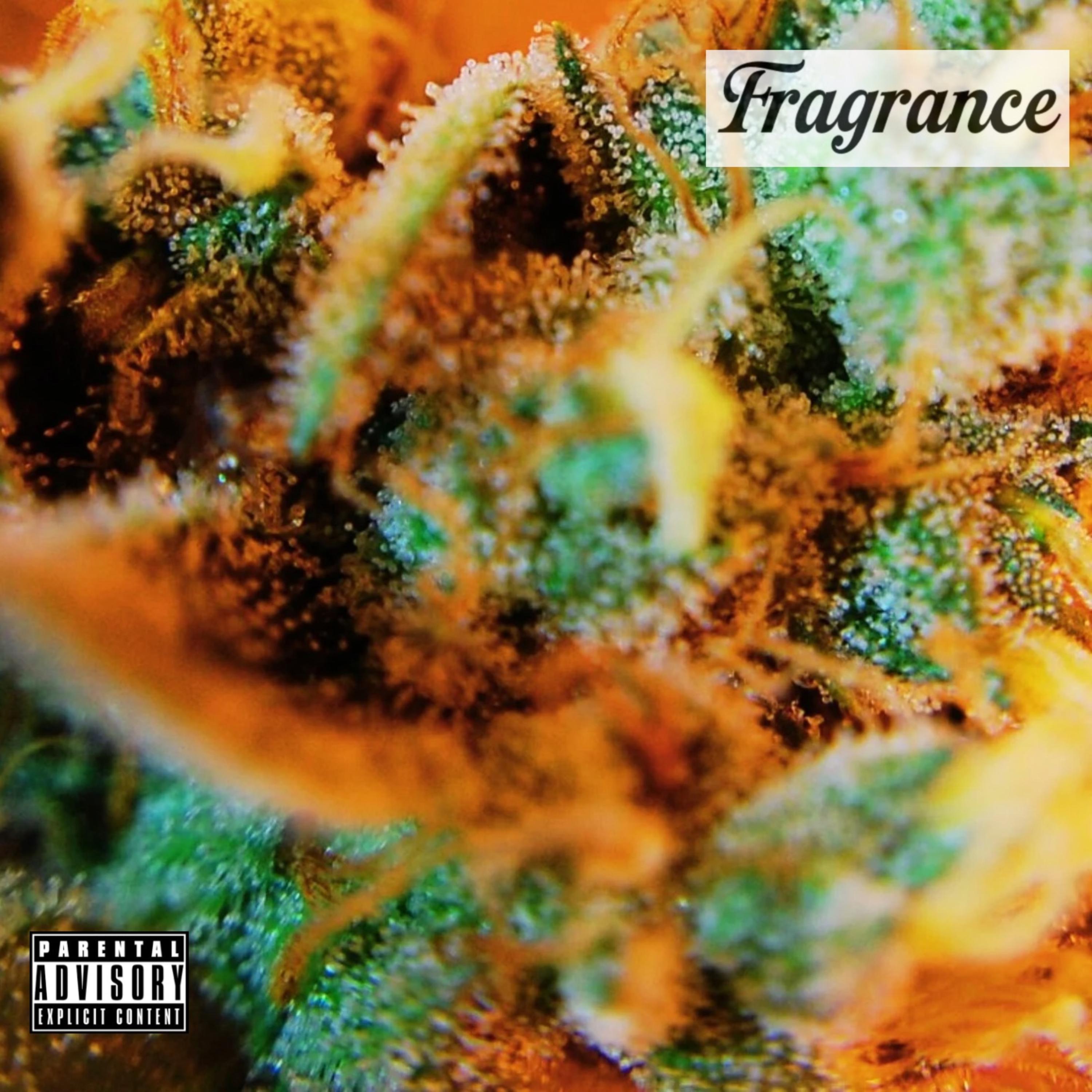 Fragrance artwork
