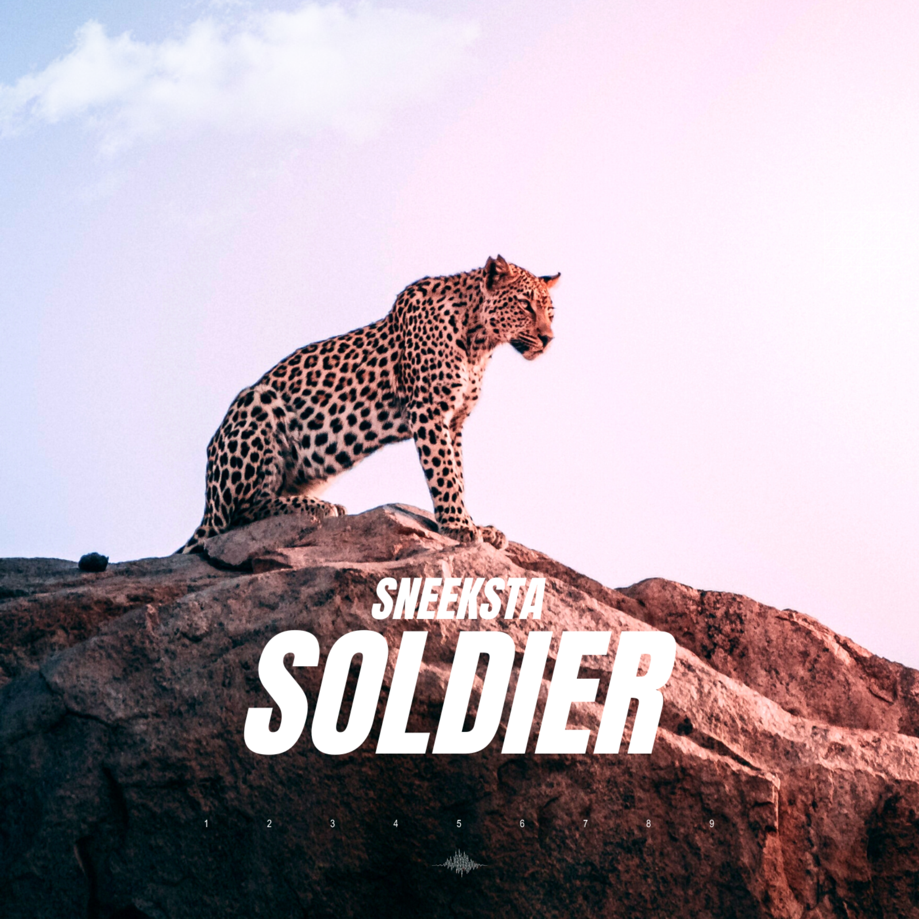 SOLDIER artwork