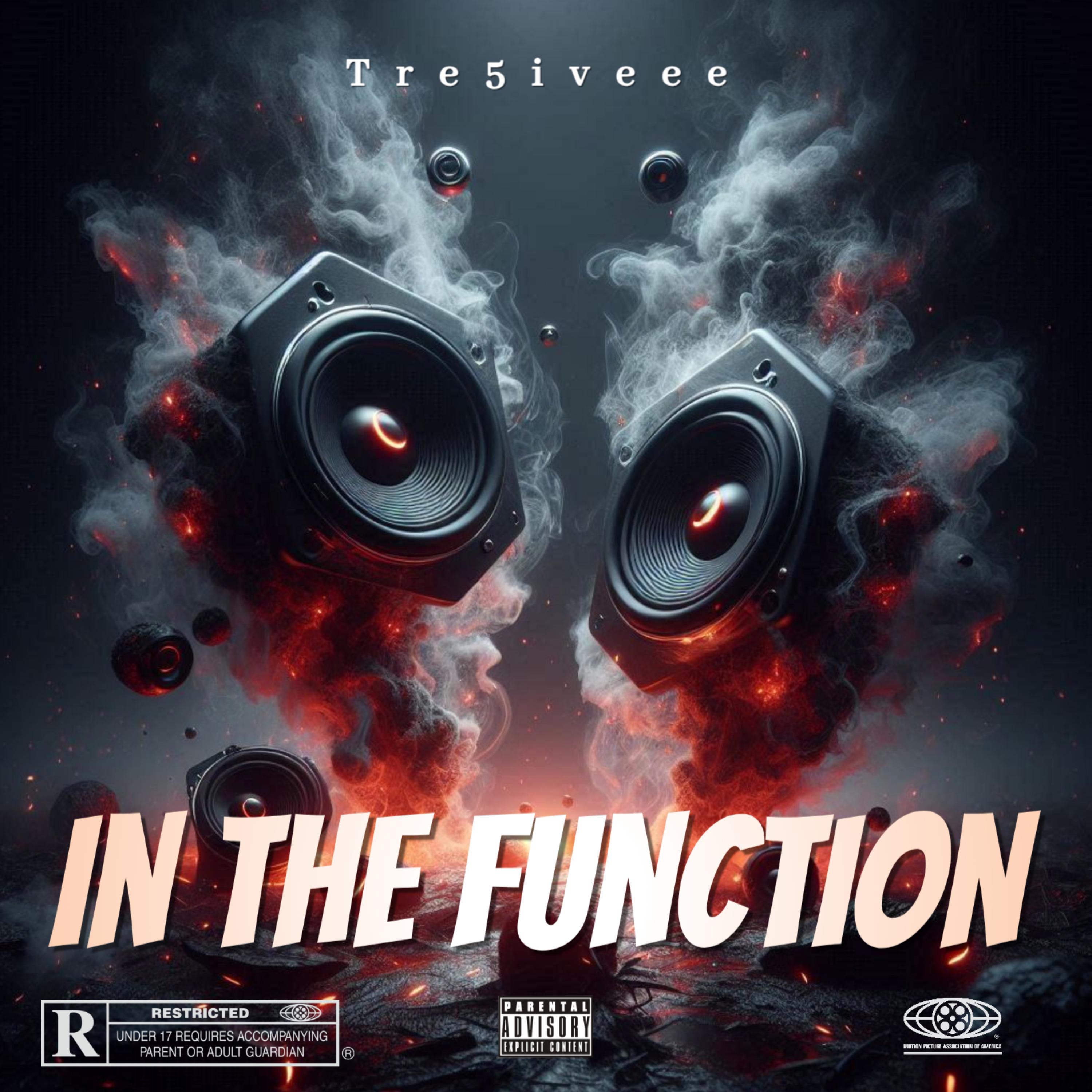 In The Function artwork