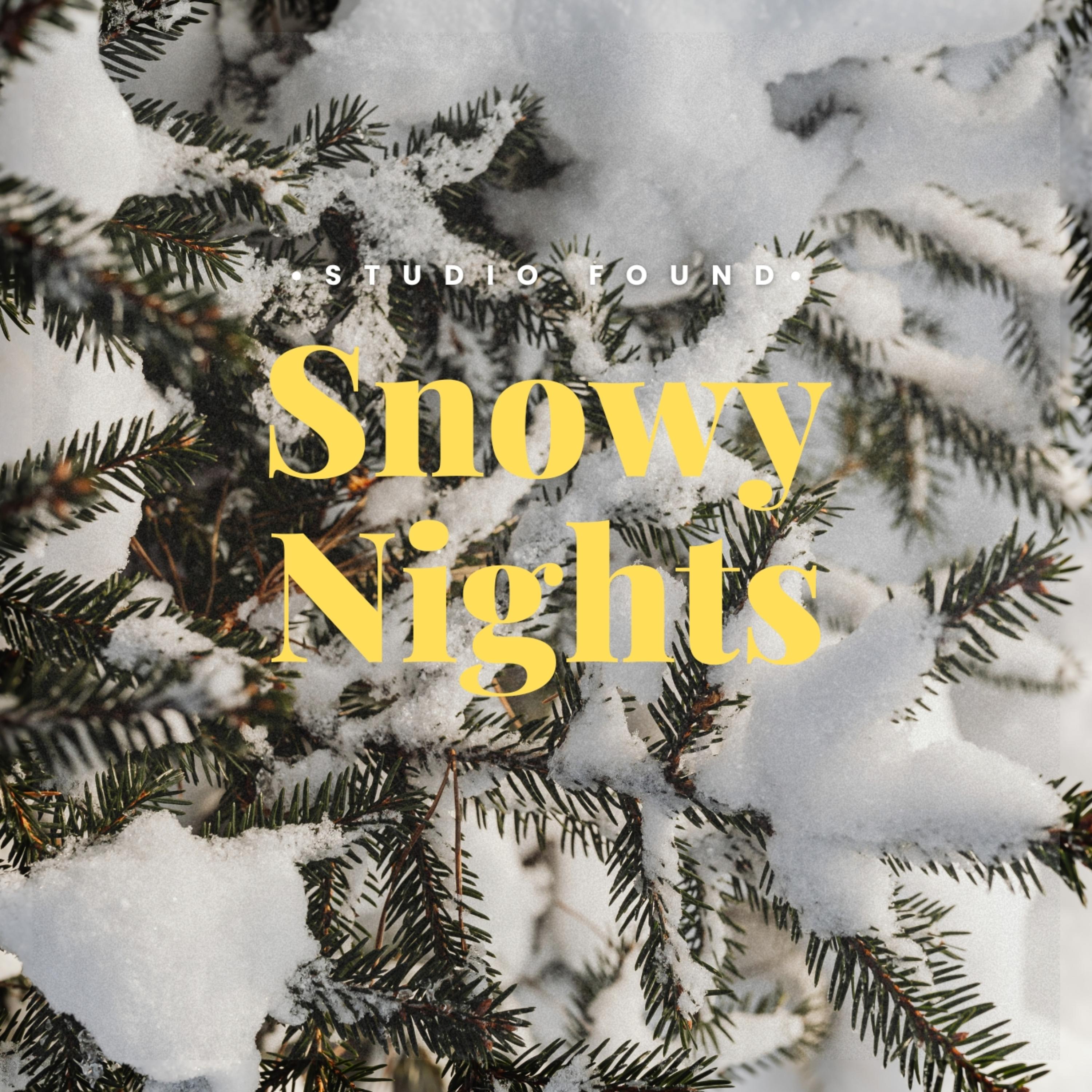Snowy Nights artwork