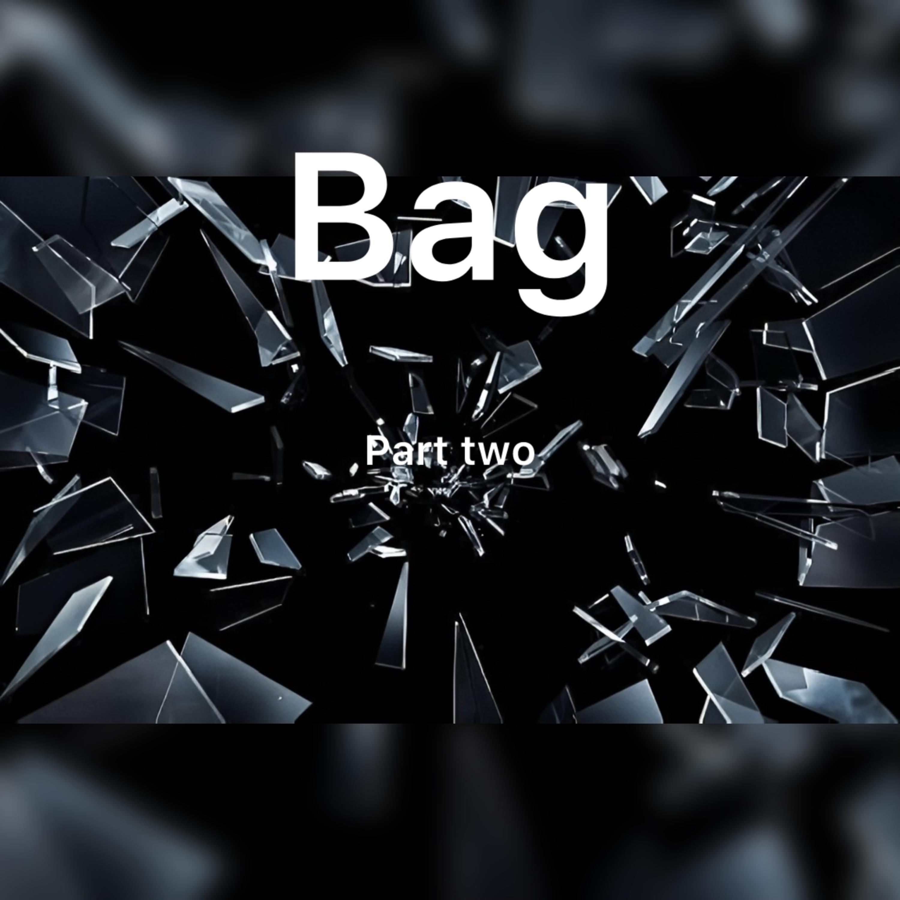 Bag Part Two artwork