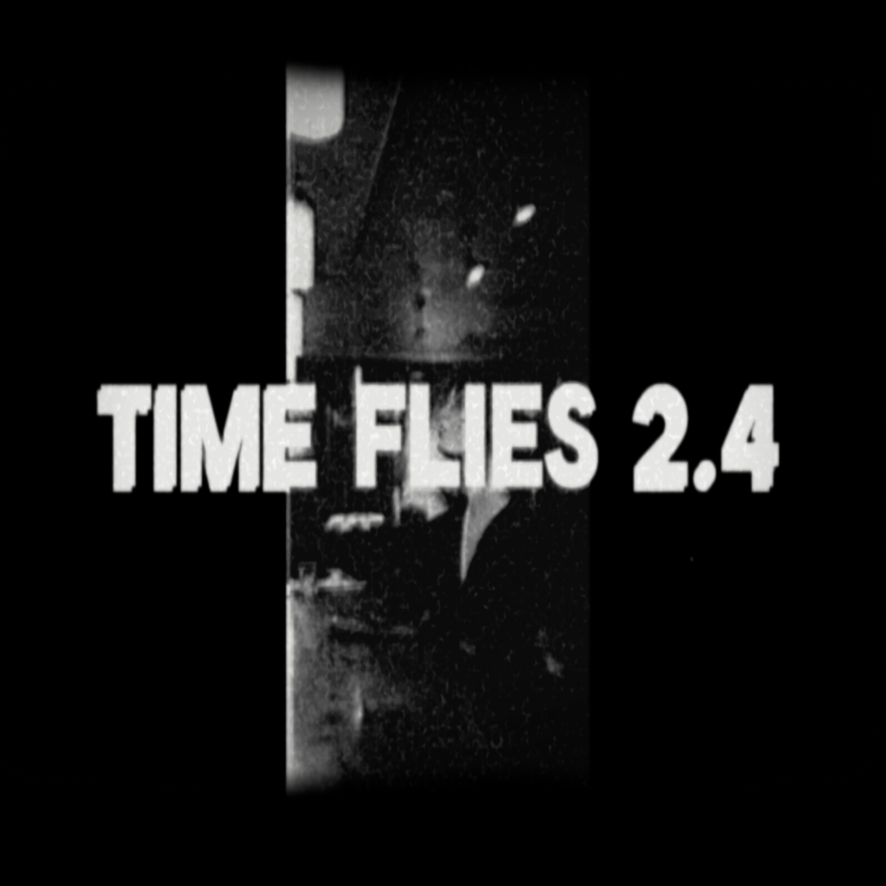 TIME FLIES 2.4 artwork