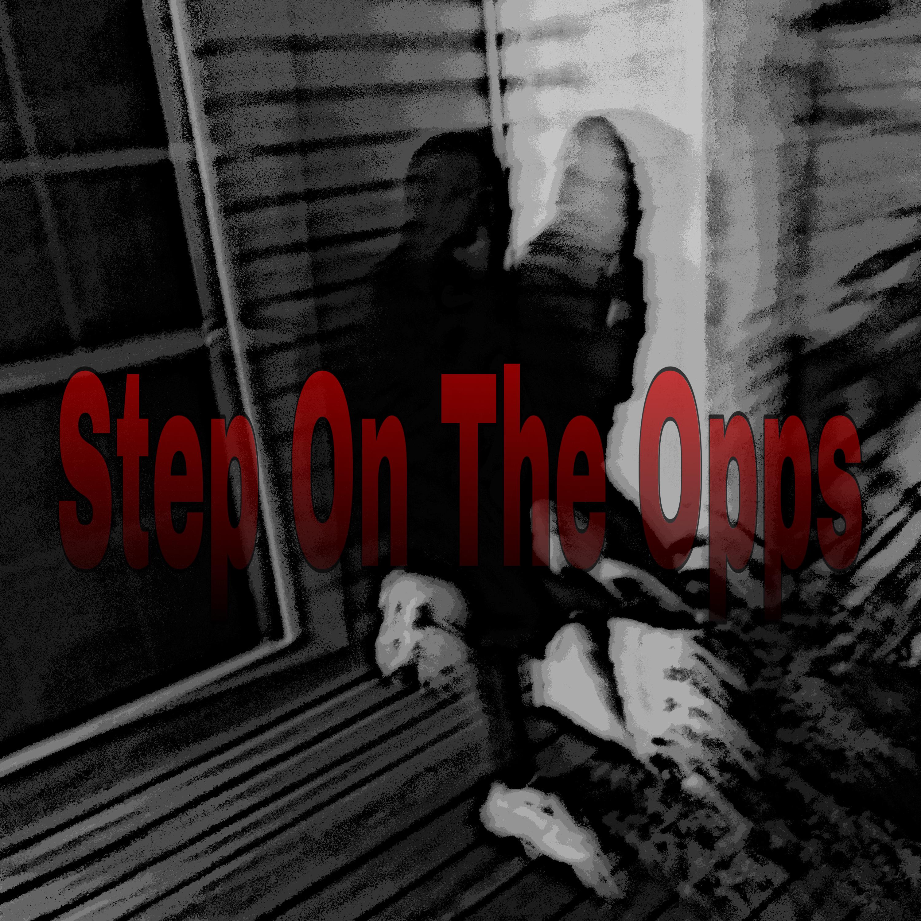 Step On The Opps artwork