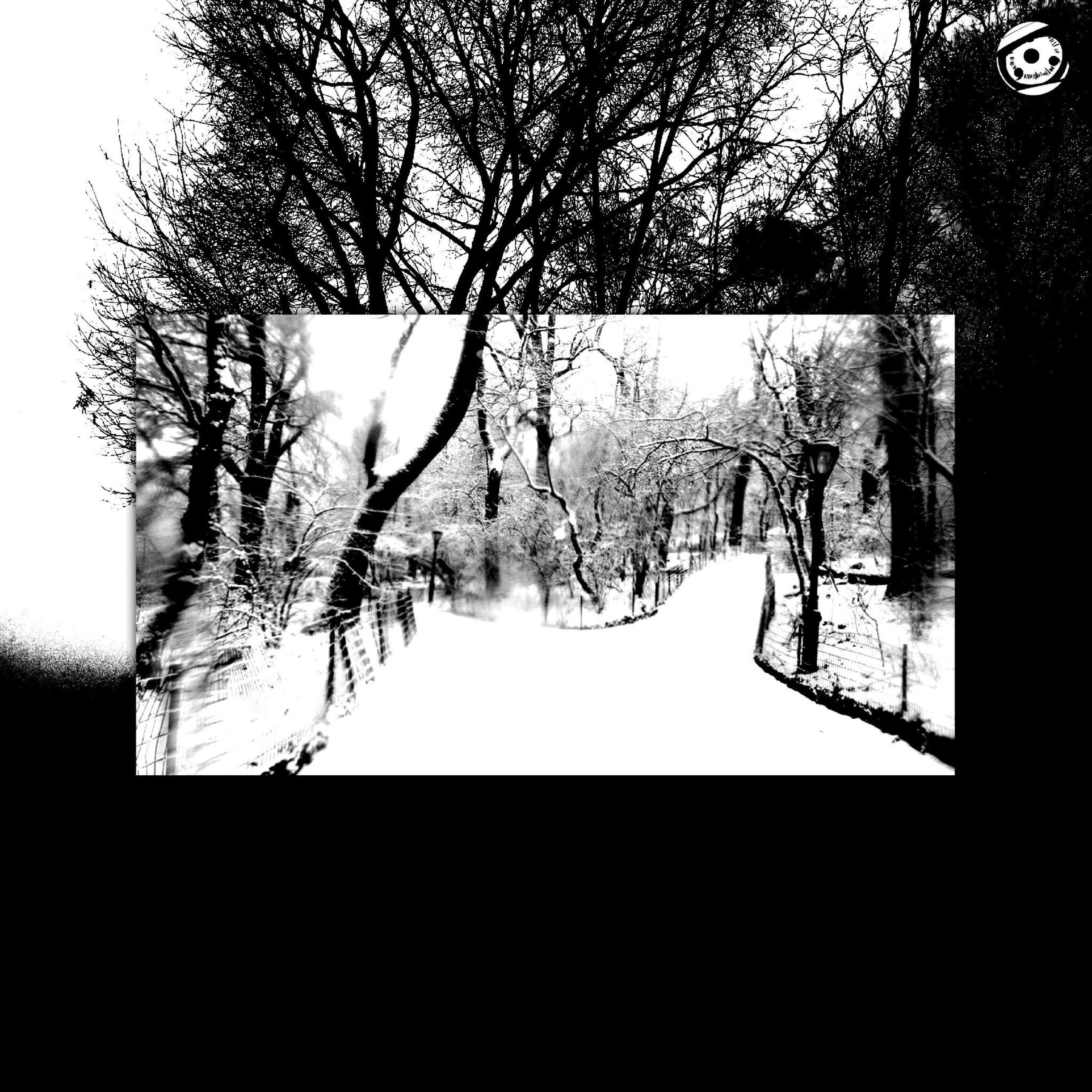winter by LilithChryst cover art
