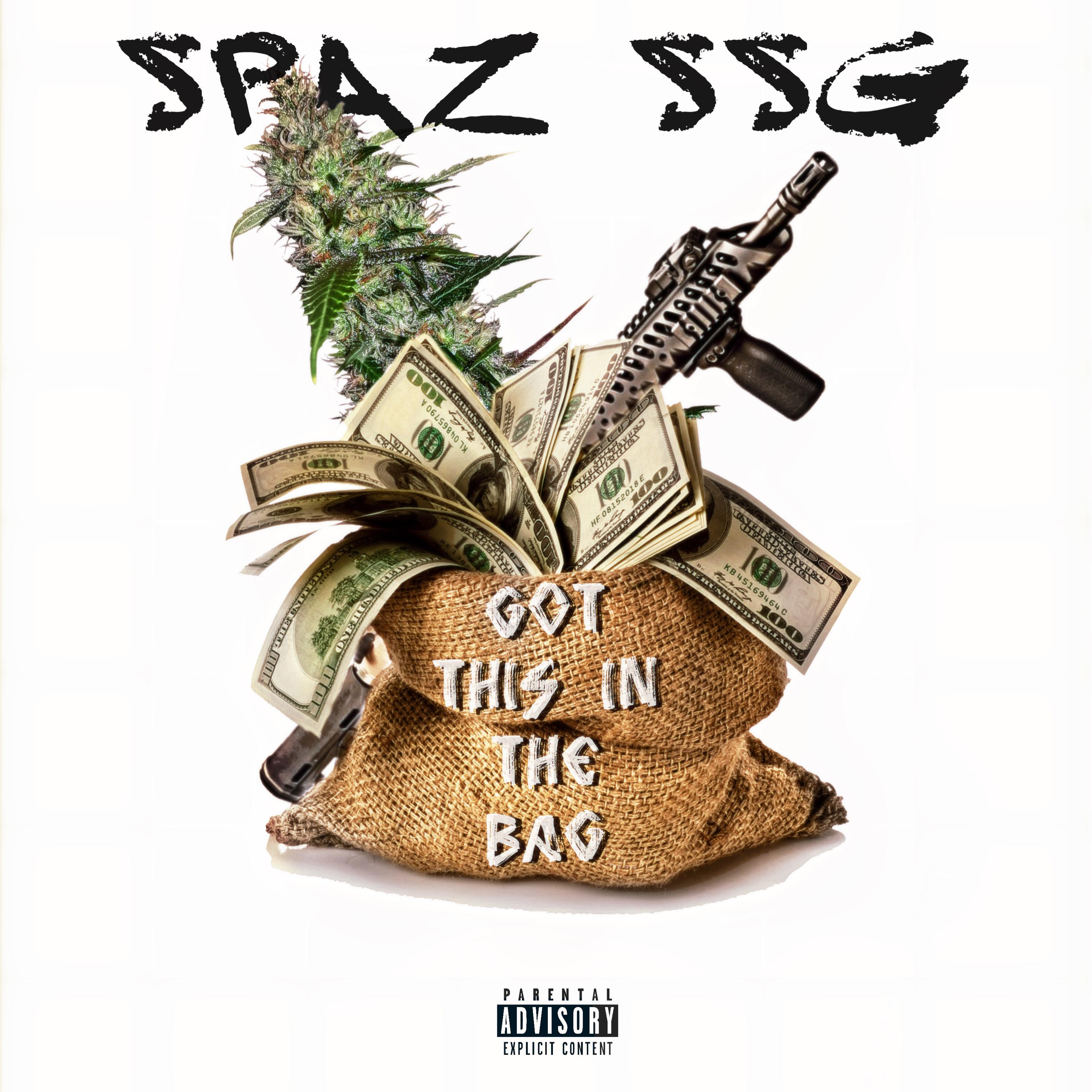 Got This In The Bag artwork