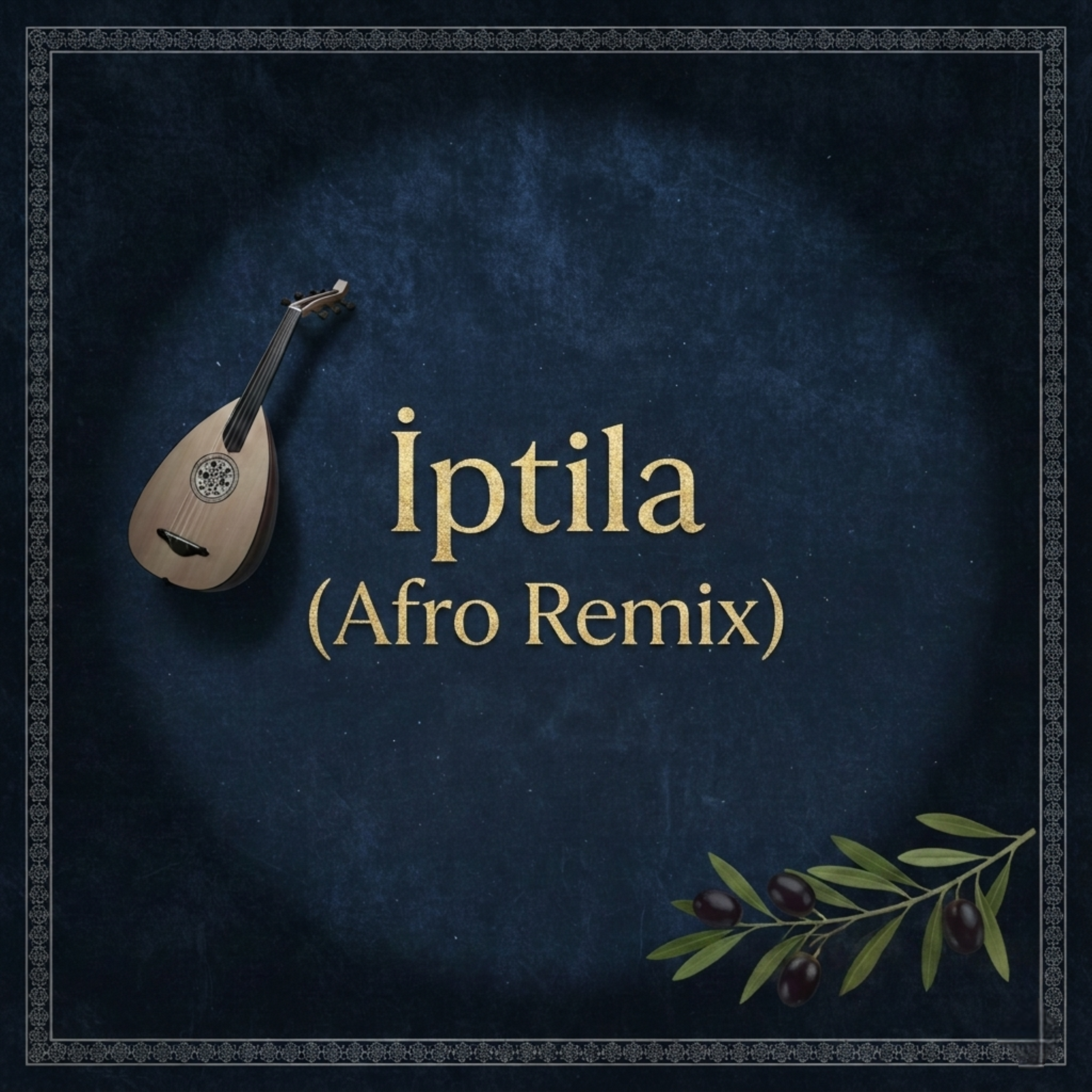İptila (Afro Remix) by MMRYKDL cover art