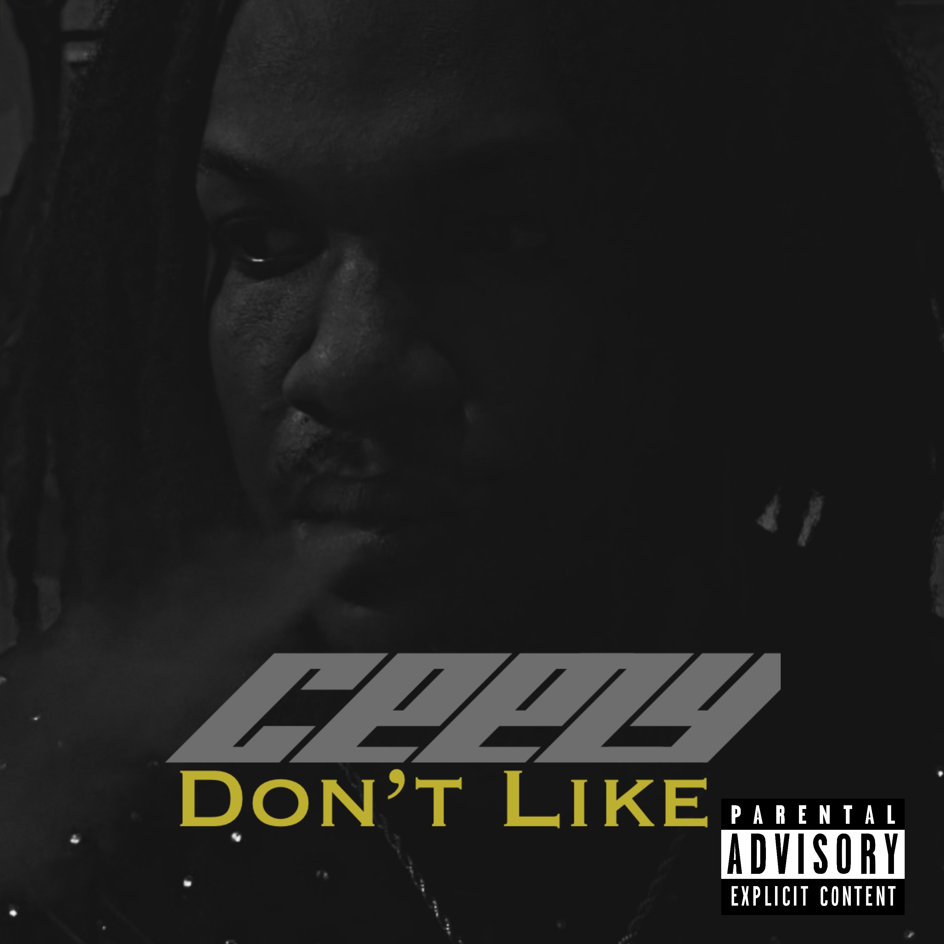 Don’t Like artwork