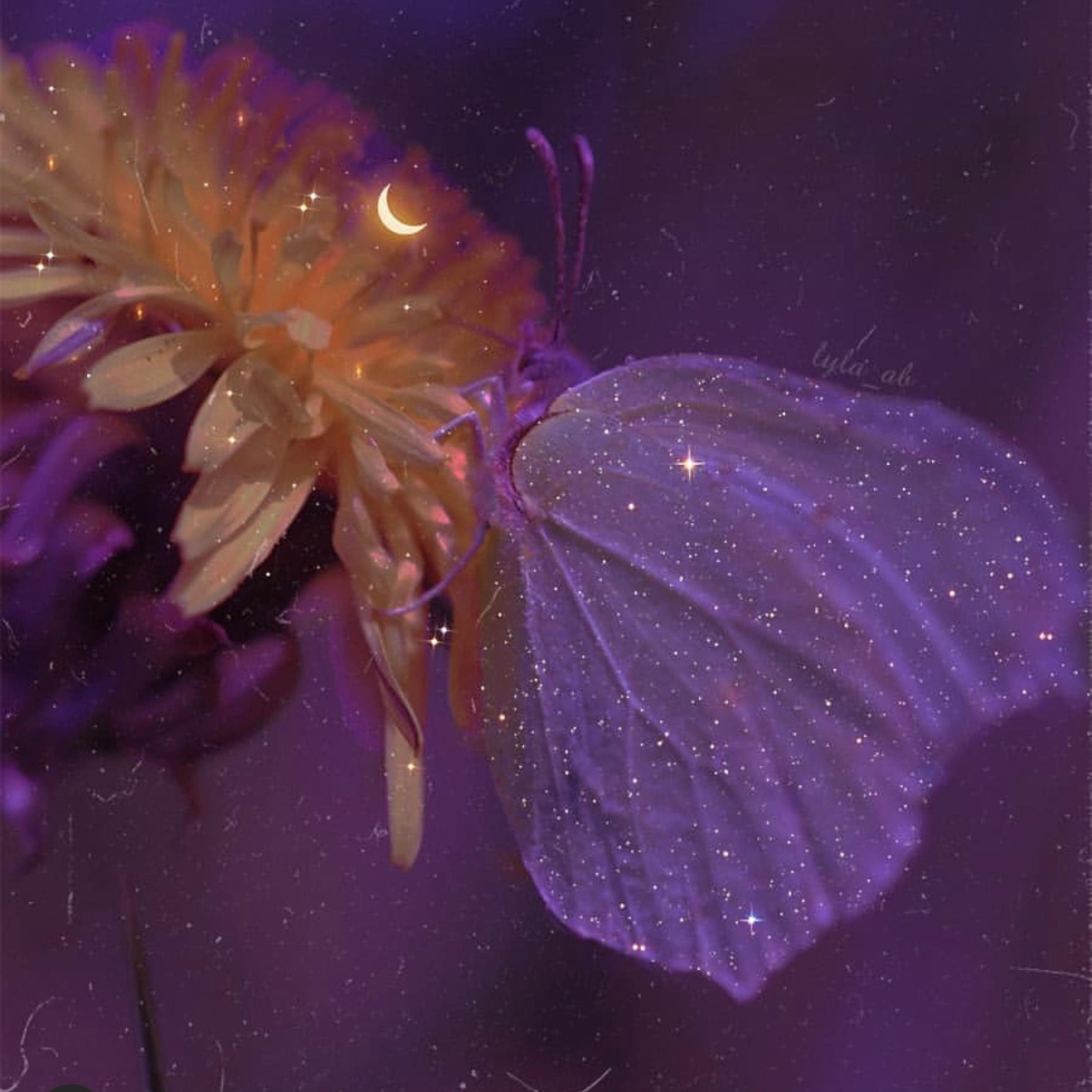 My Butterfly artwork