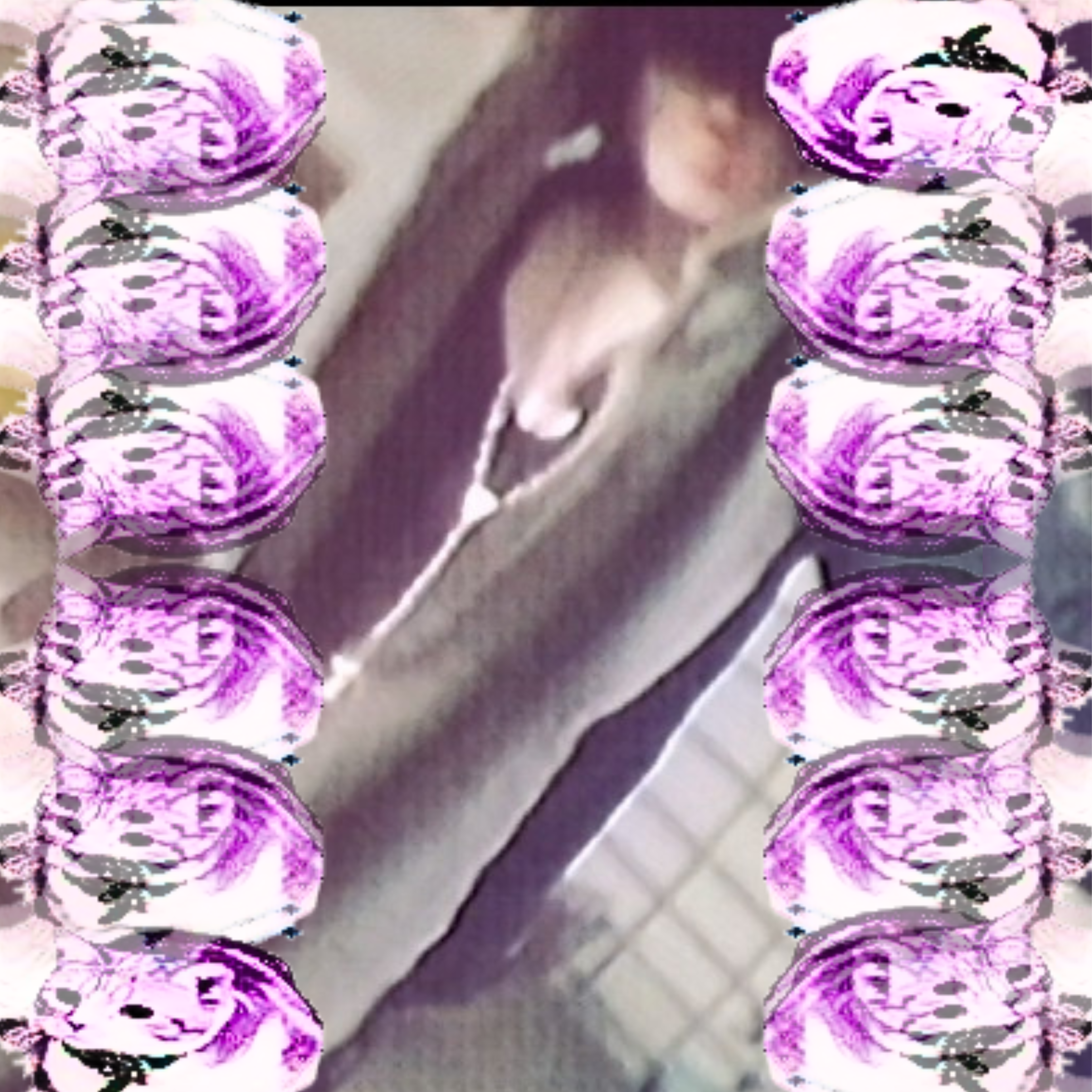 honey smacks (+ Digicore Remix) artwork