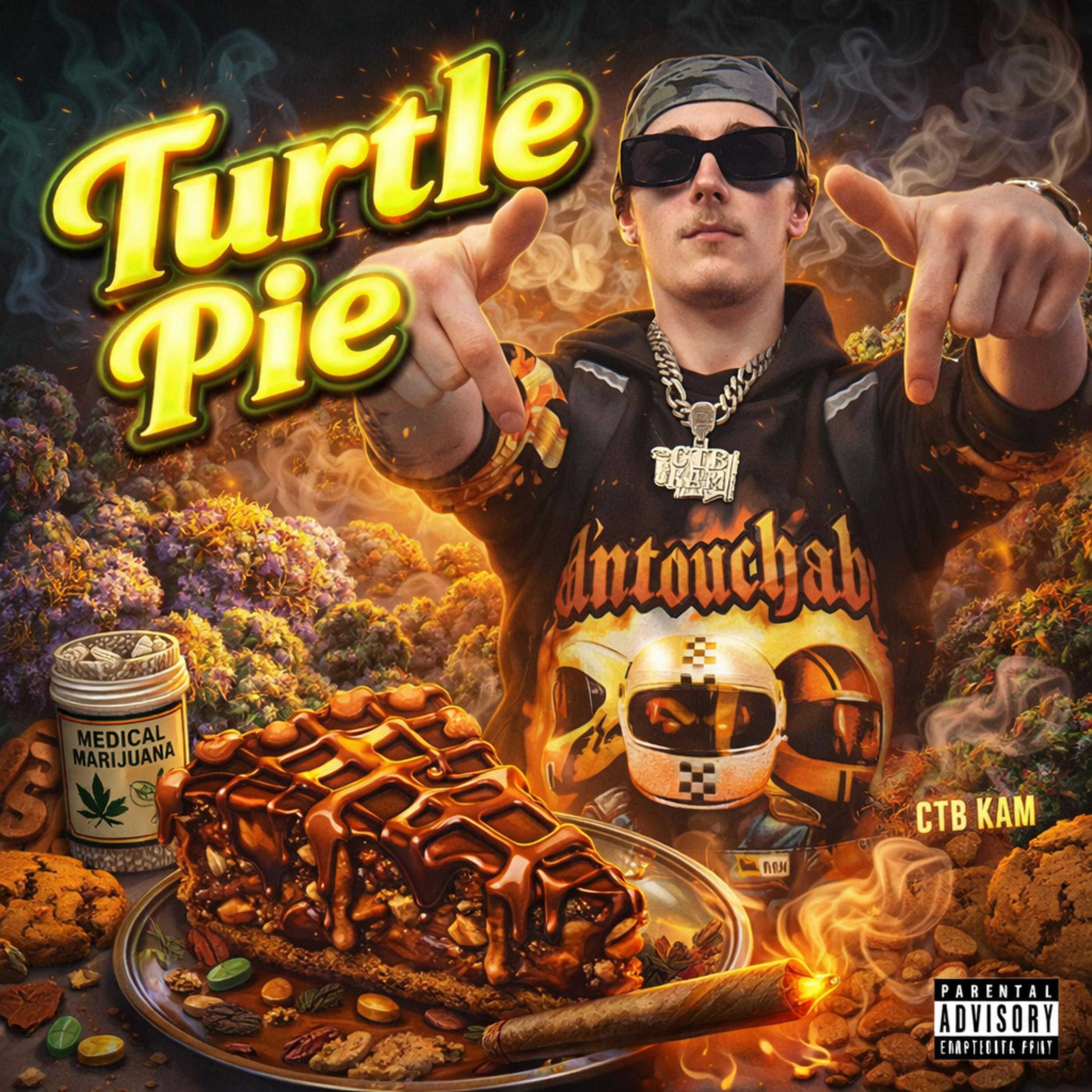 Turtle Pie artwork