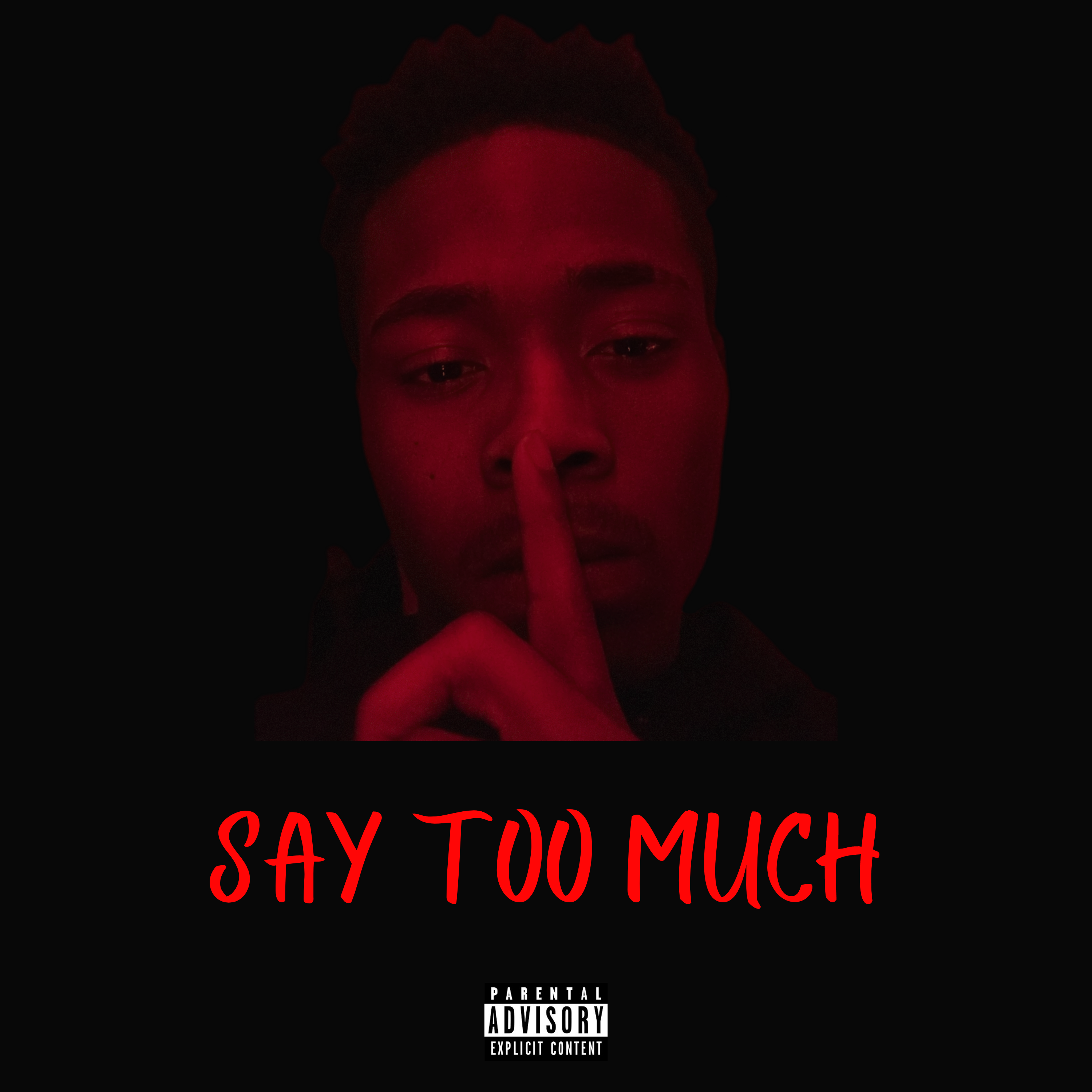 Say Too Much artwork