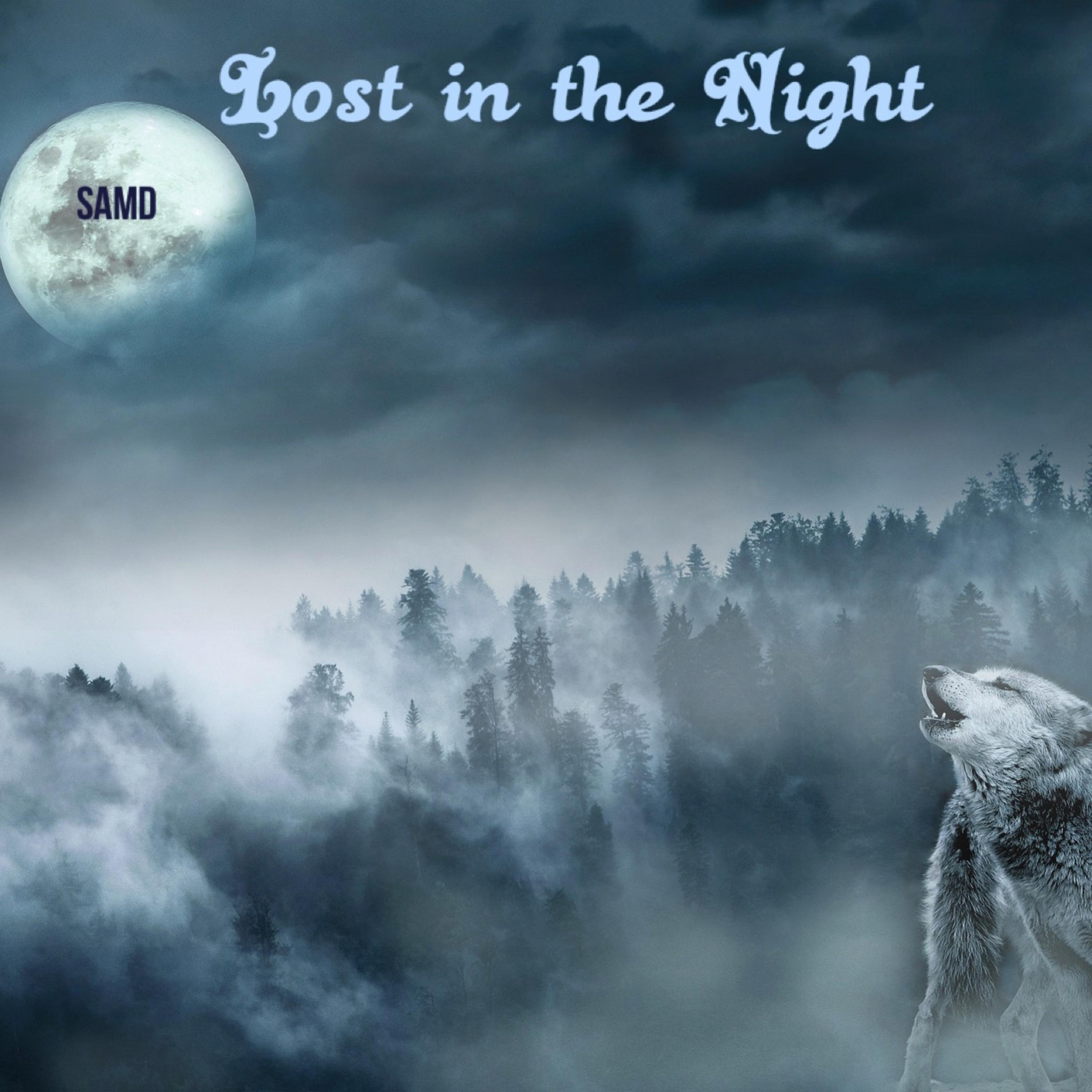 Lost In The Night artwork