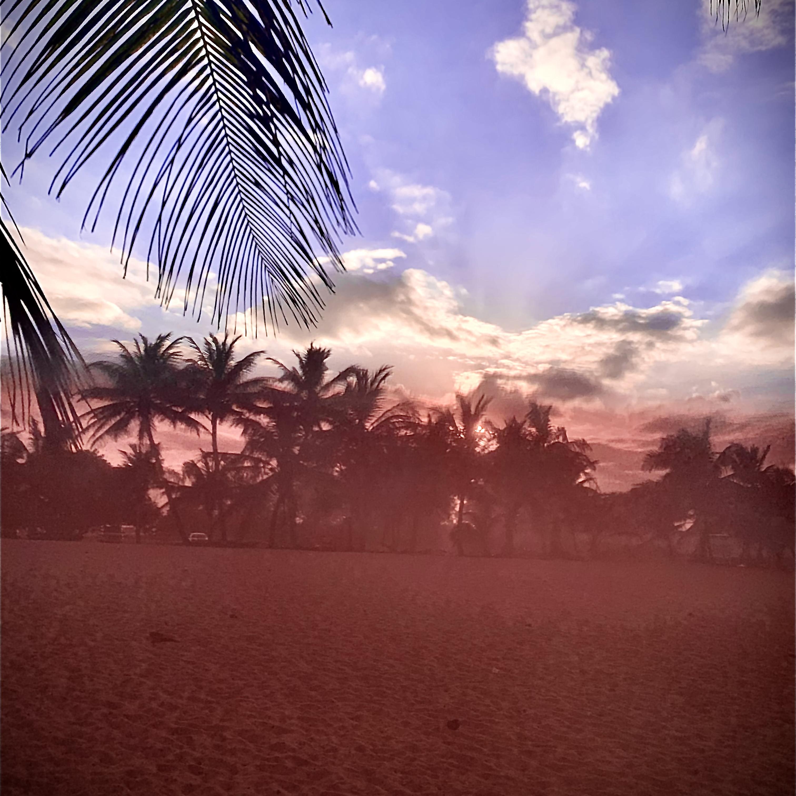 Night & Day artwork