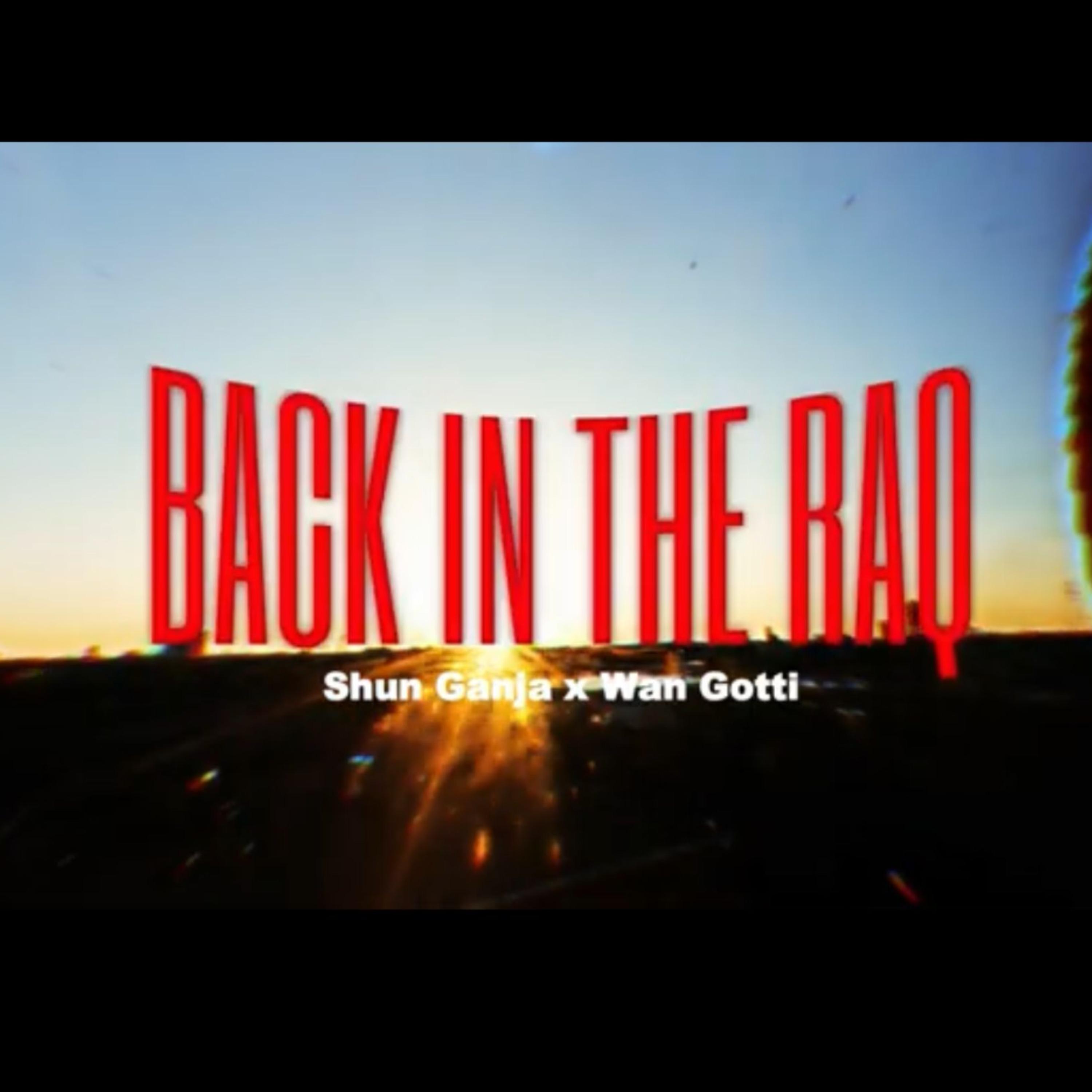 Back In the RAQ by WanGotti cover art