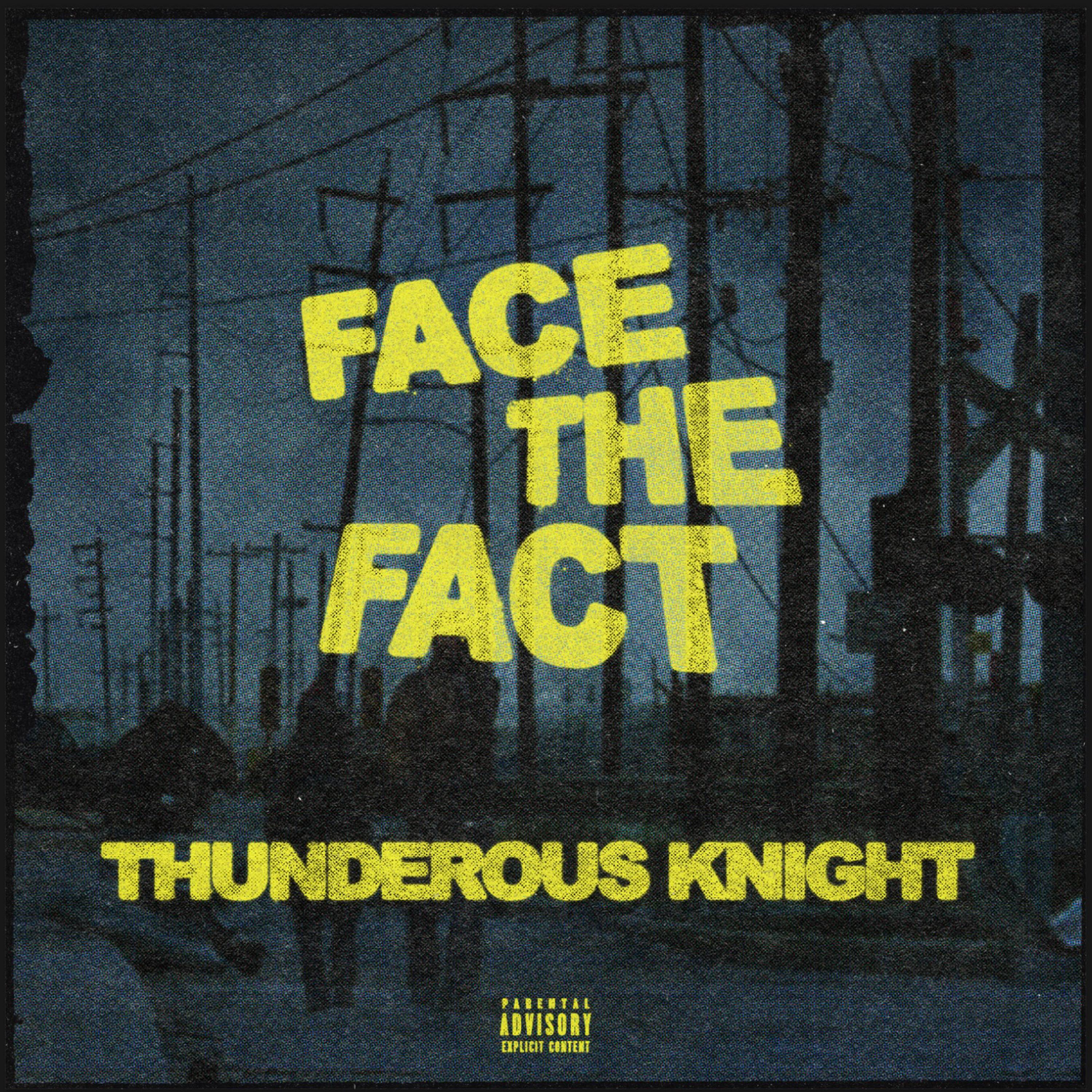 FACE THE FACT artwork