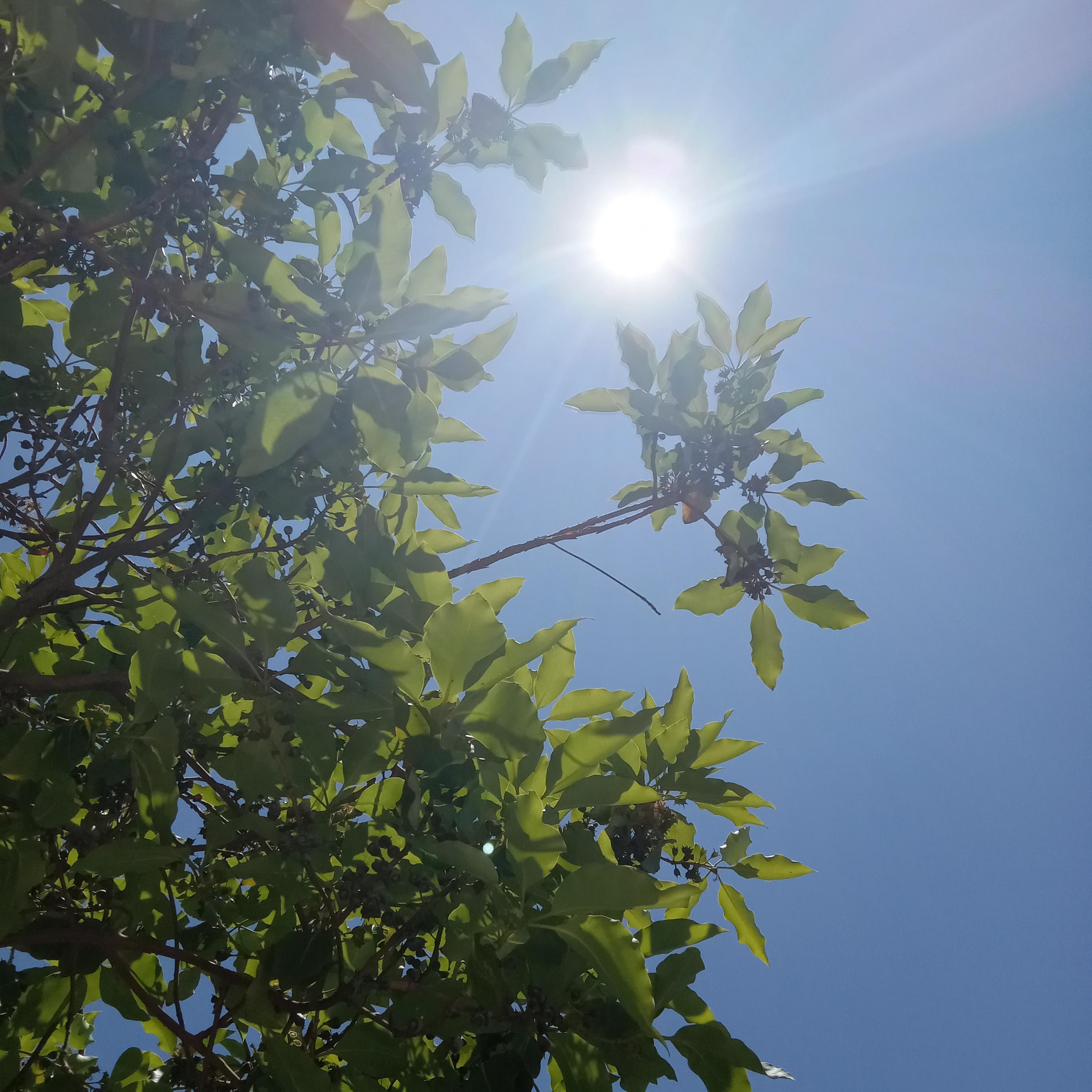 Energía Hoochie artwork