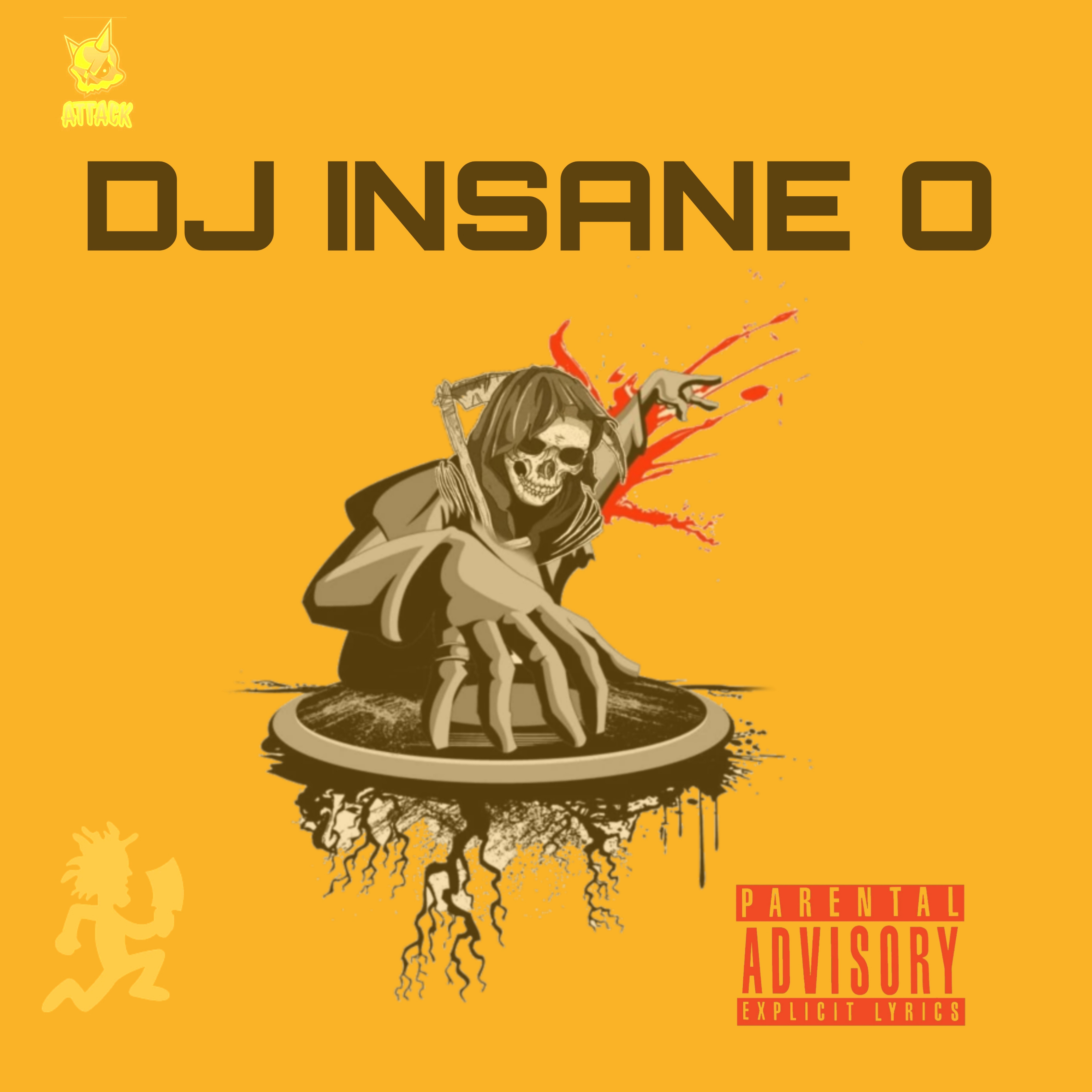 Dj Insane O artwork