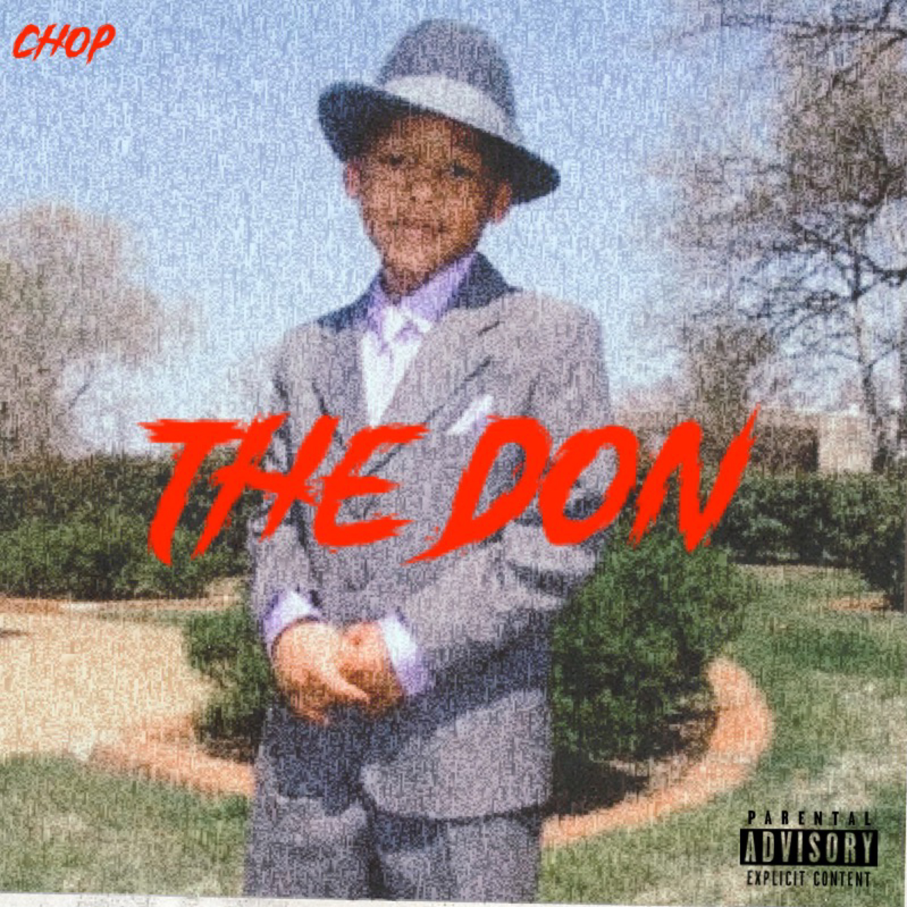 The Don artwork