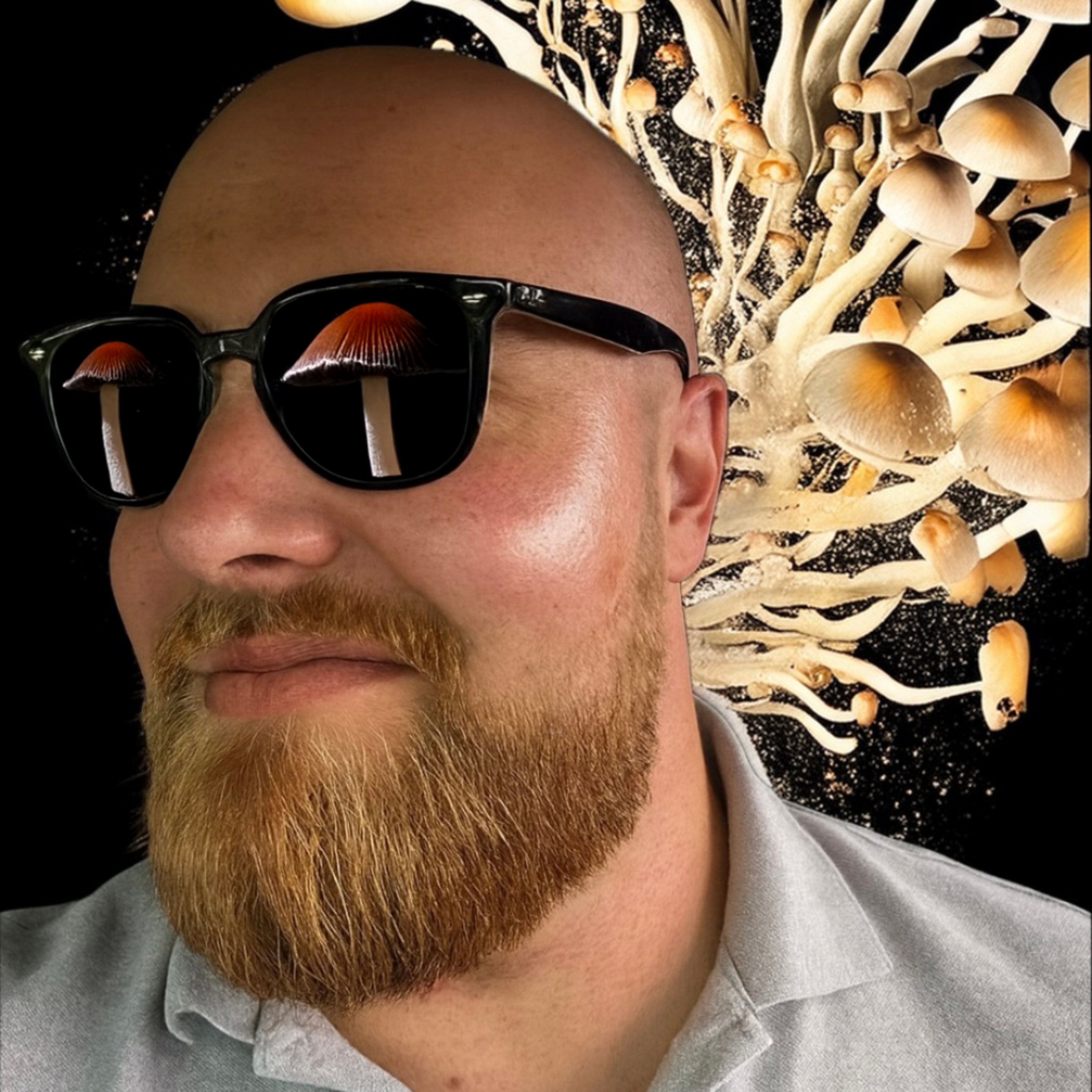 Peakin artwork