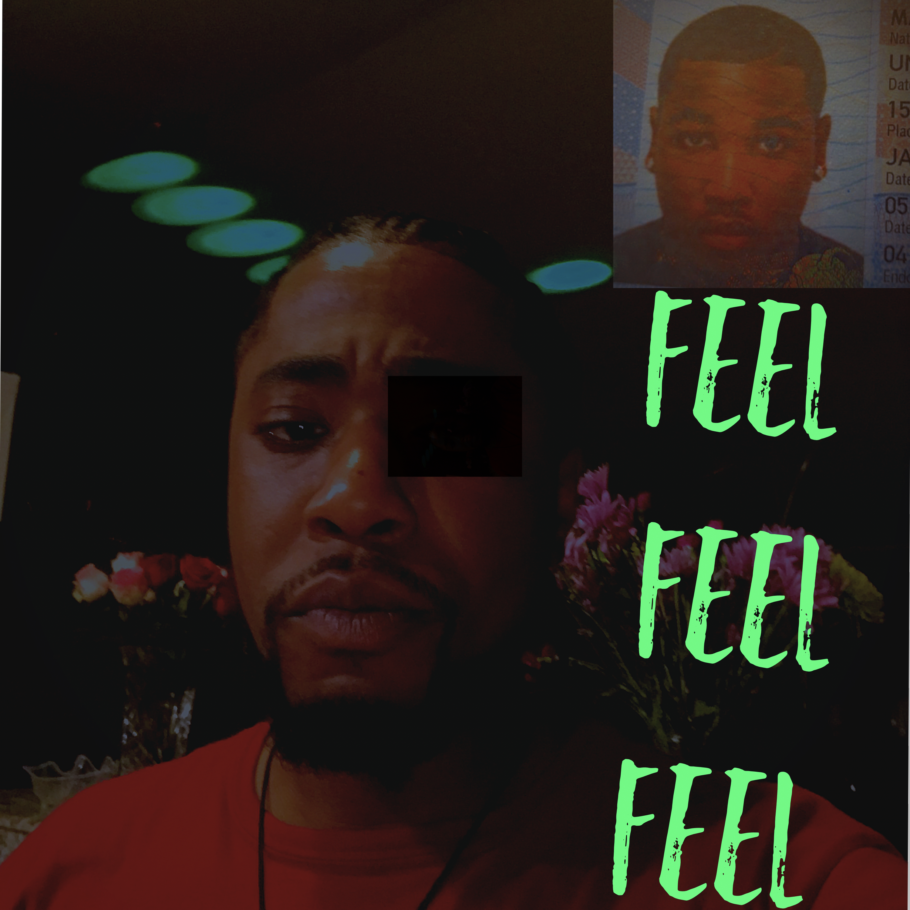 Feel artwork