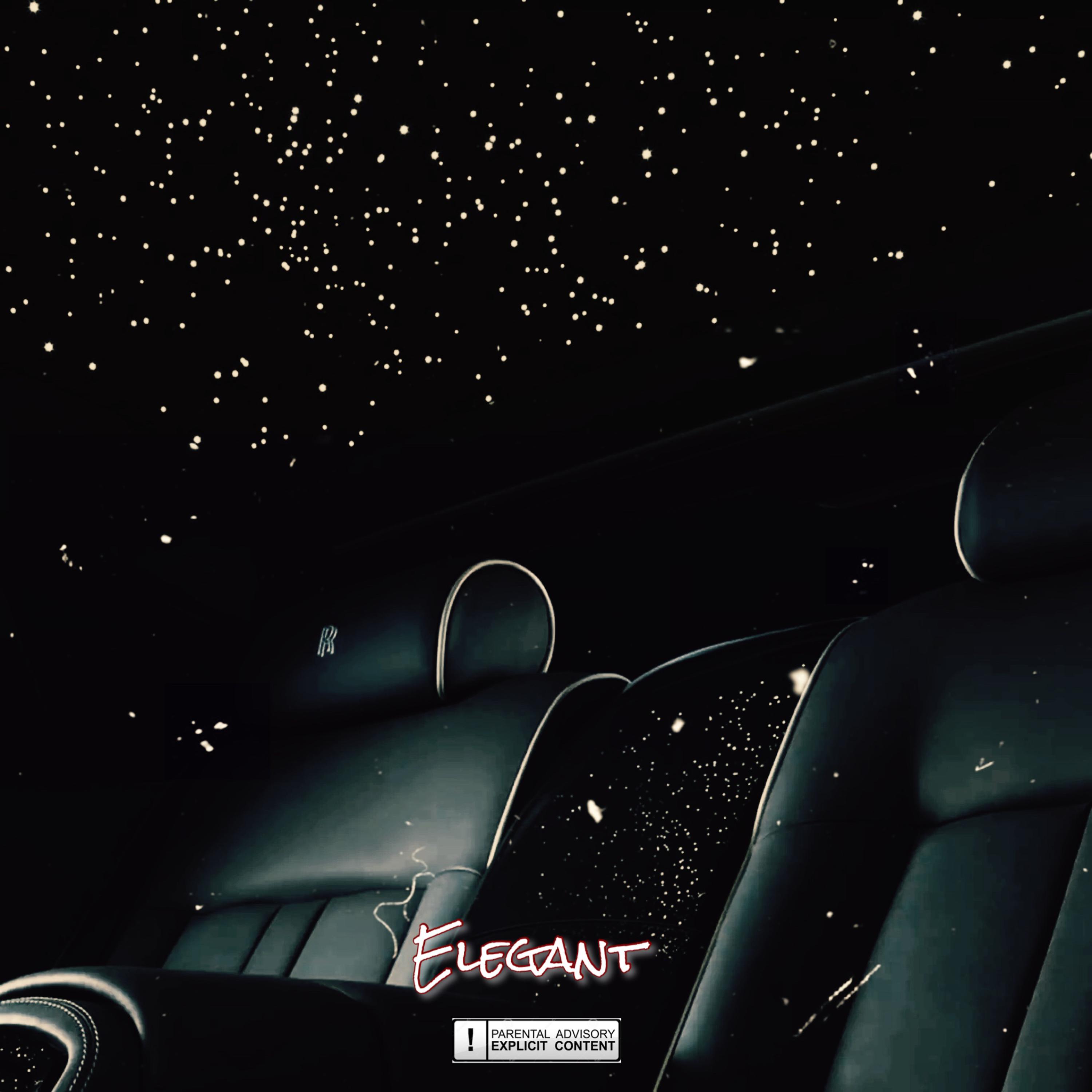 Elegant artwork