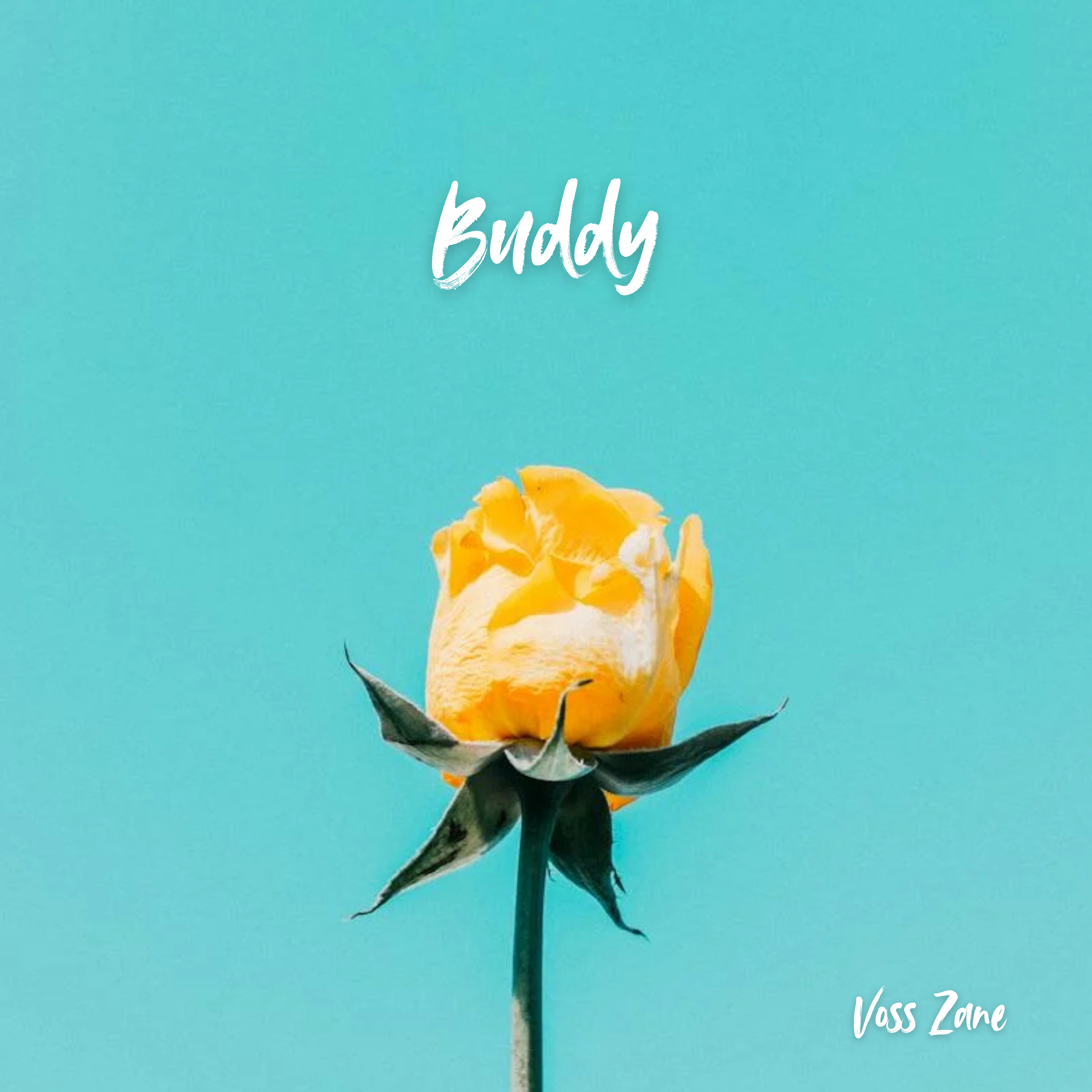 Buddy artwork