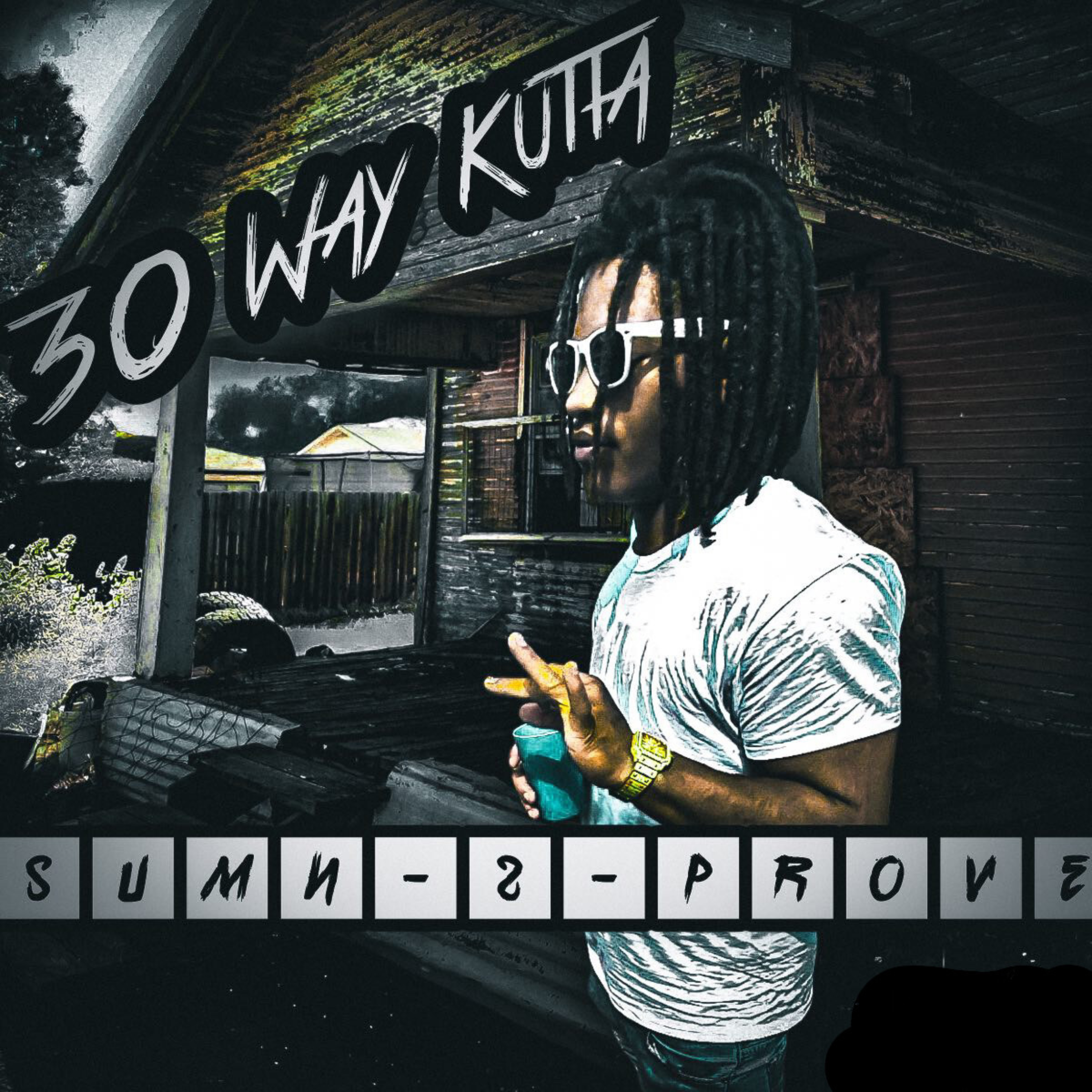 SUMN-2-PROVE artwork